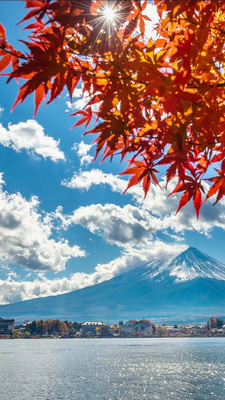 Japan Lake Landscape And Mount Fuji