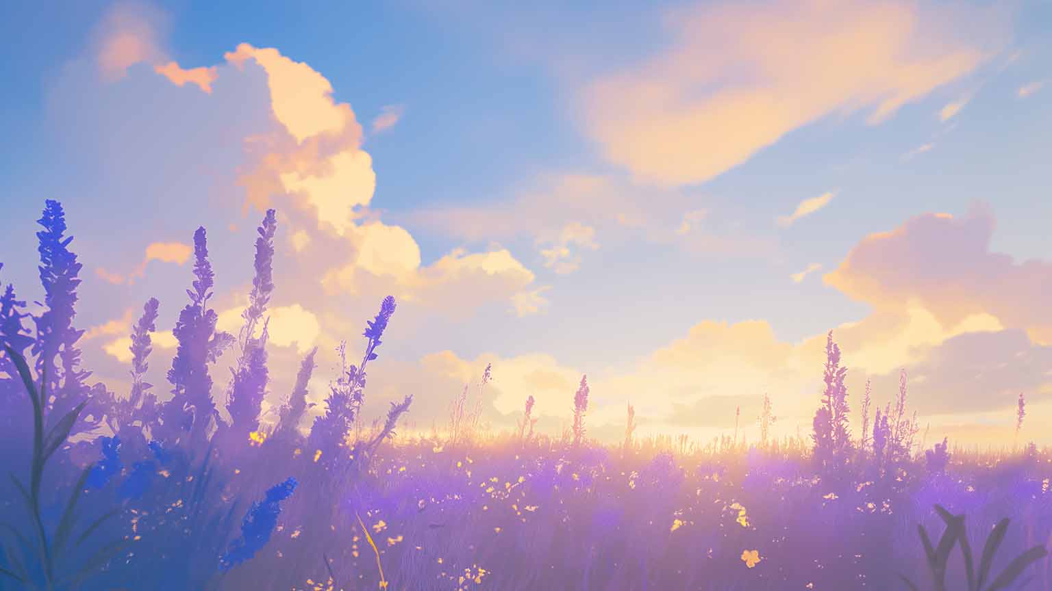Field of Lavender Sunset Desktop Wallpaper