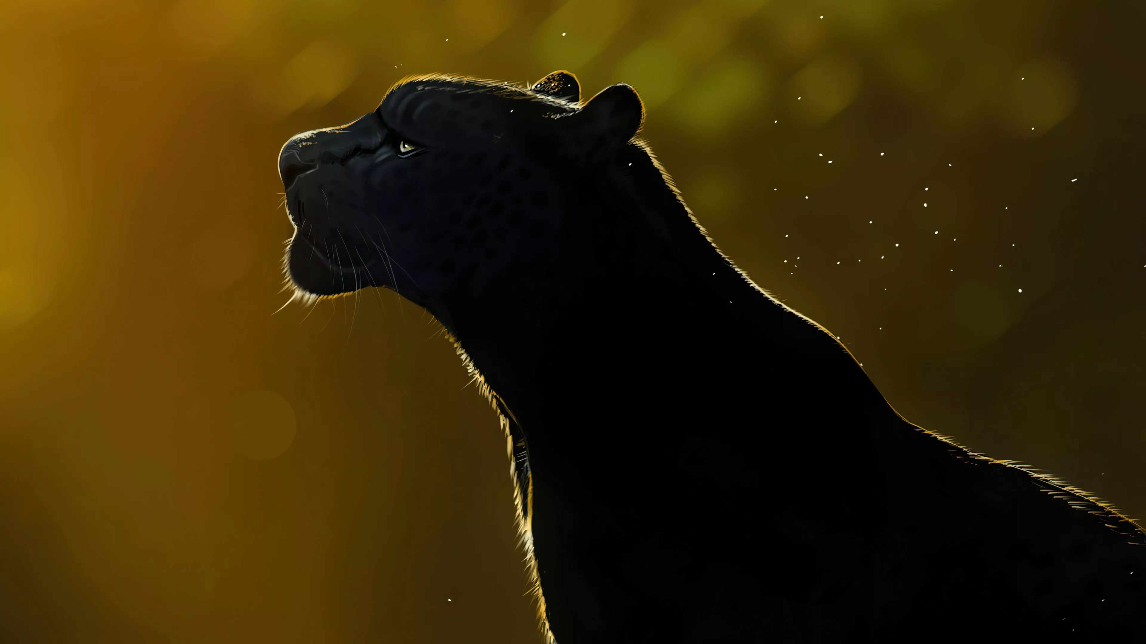 Black Panther (Animal) Wallpaper