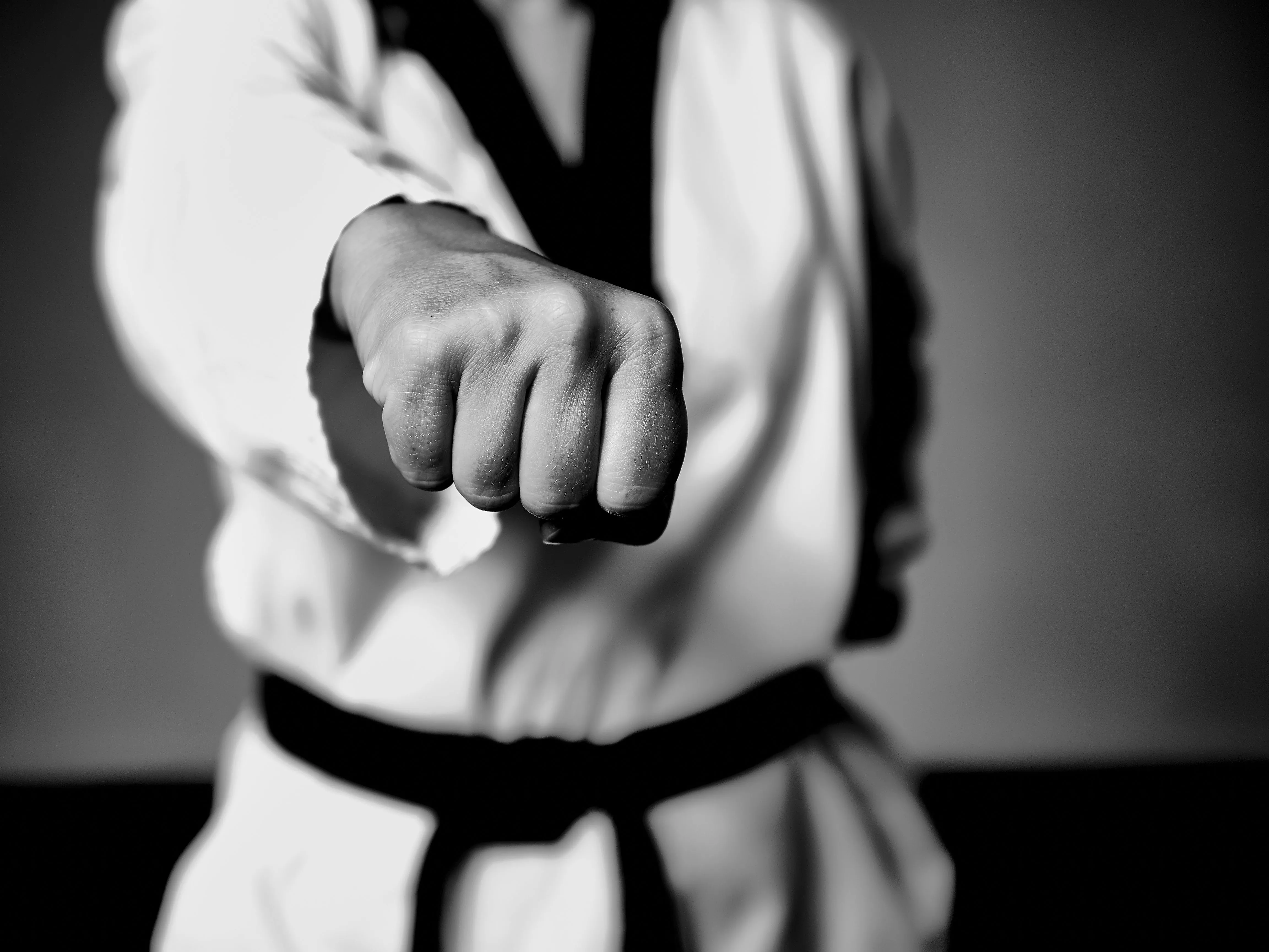 taekwondo, fight, fighter Wallpaper, HD
