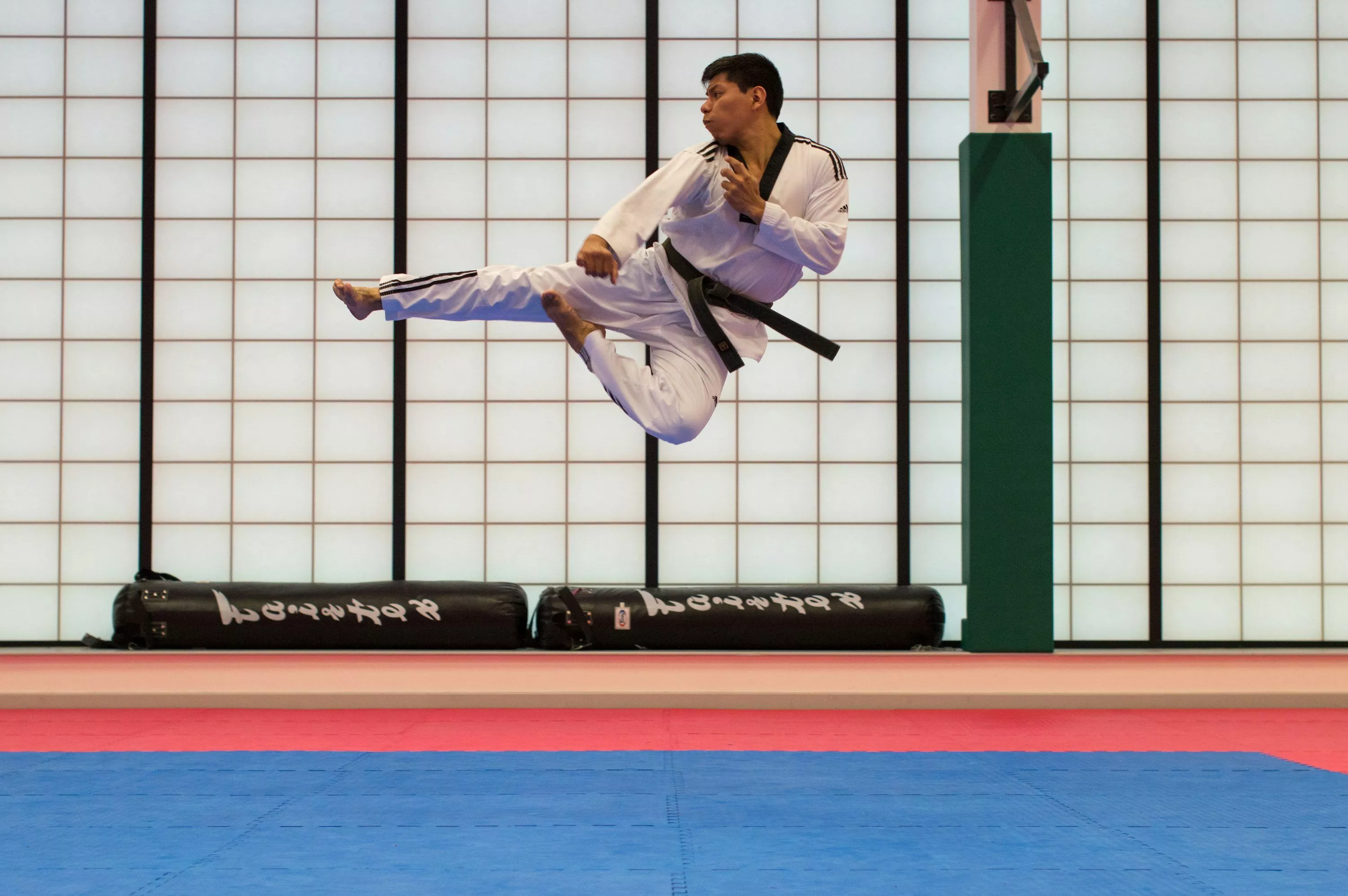 Taekwondo Picture [HD]. Download