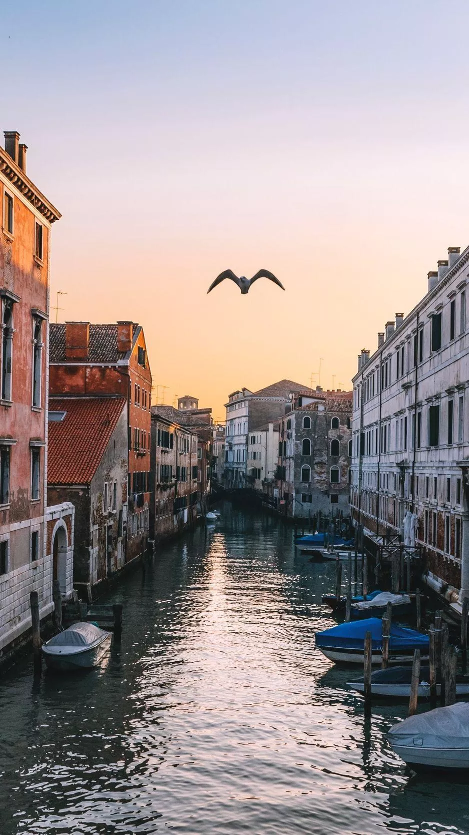 Venice iPhone Wallpaper Free