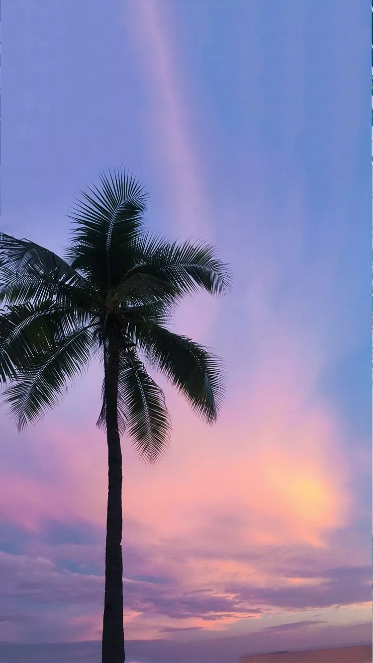 Stylish iPhone wallpaper Purple x pink