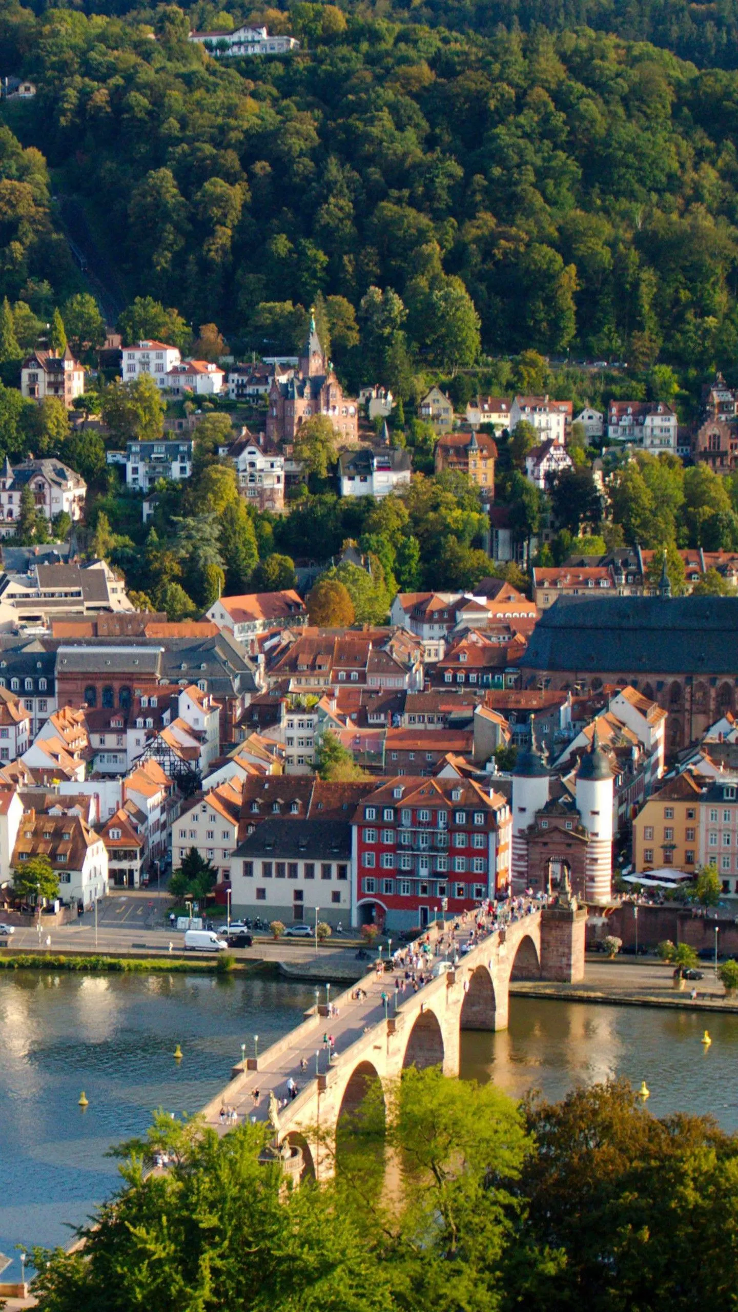 Aerial View Heidelberg Palace Erasmus