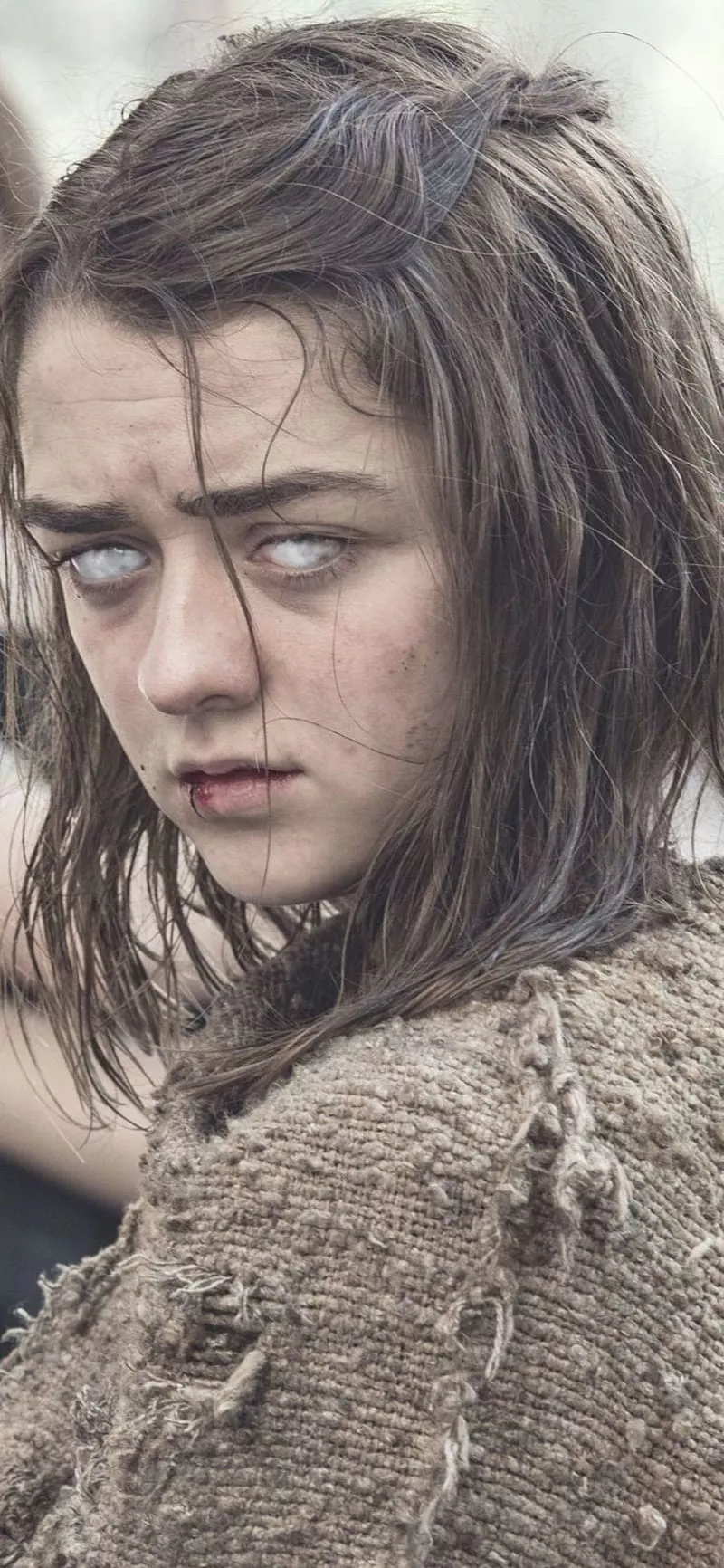 north, starks, HD phone wallpaper