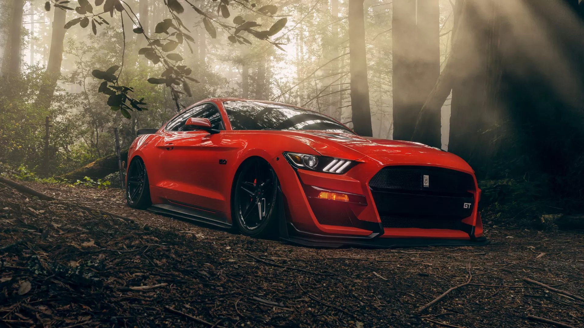 Red Ford Mustang GT car in the forest