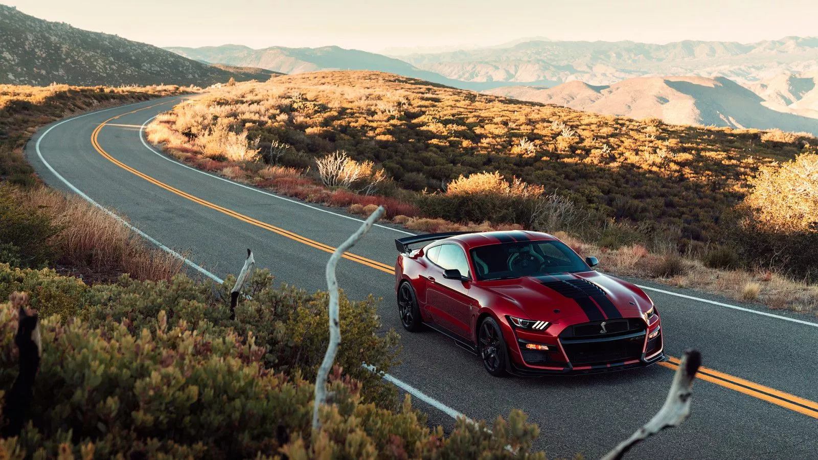 Ford Mustang Shelby GT500 HD Desktop