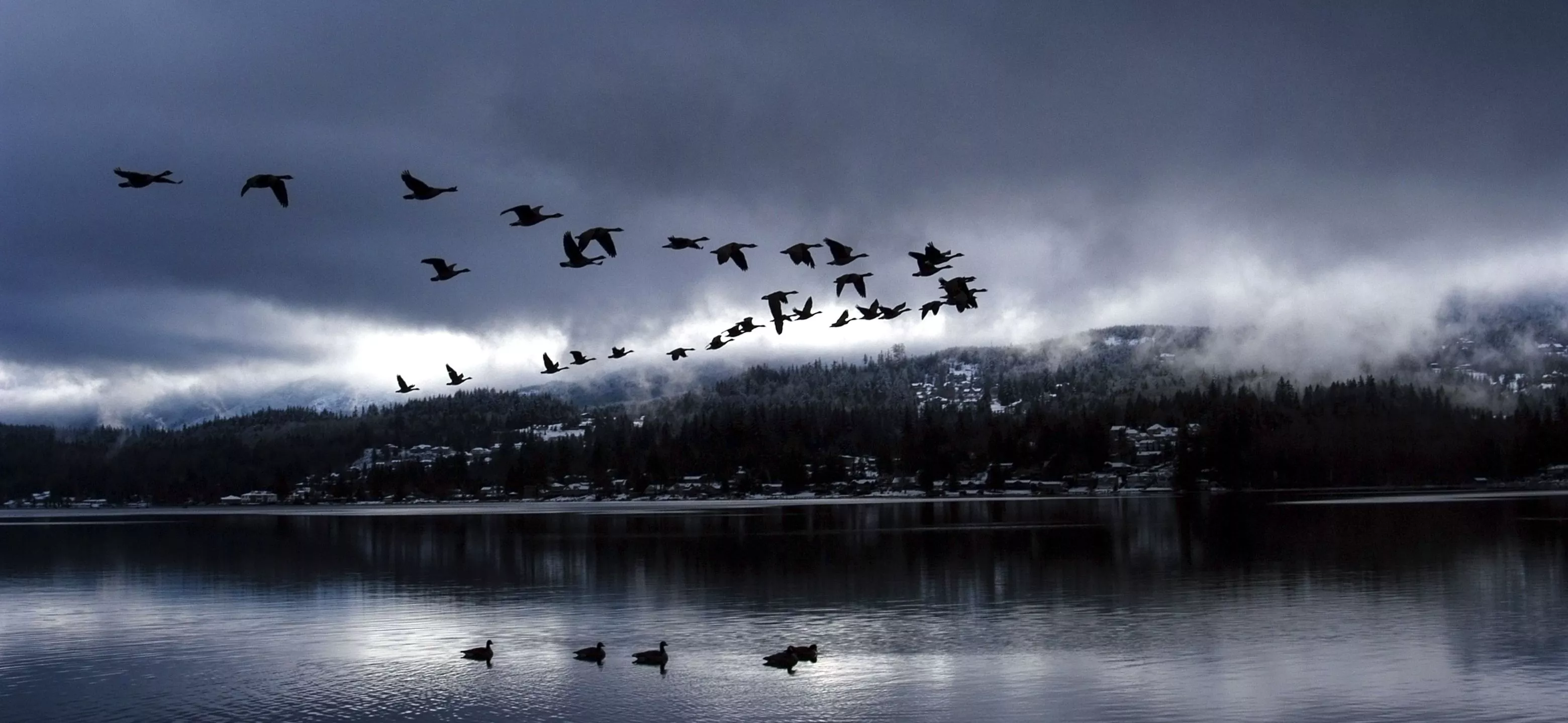 Never Settle HD Wallpaper and 4K