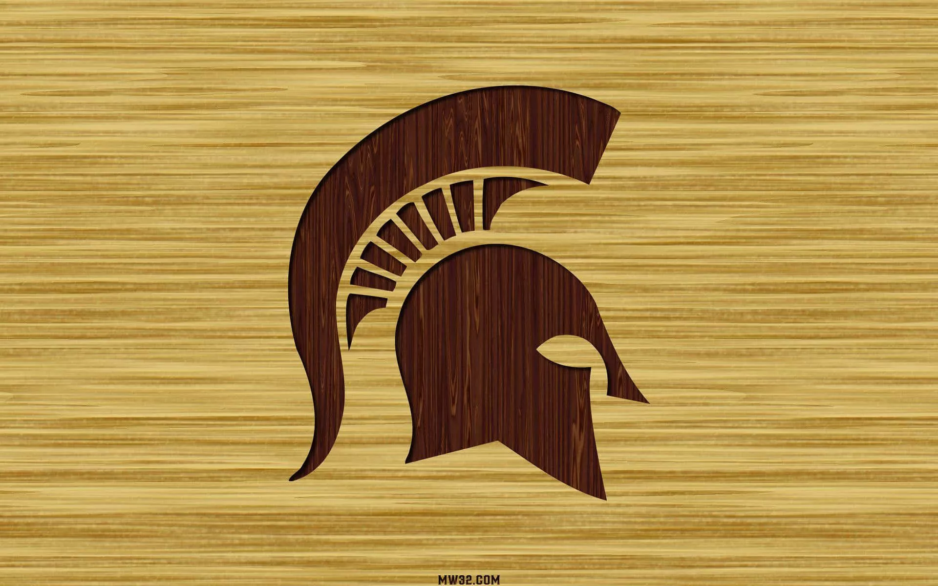 Download free Michigan State Spartans