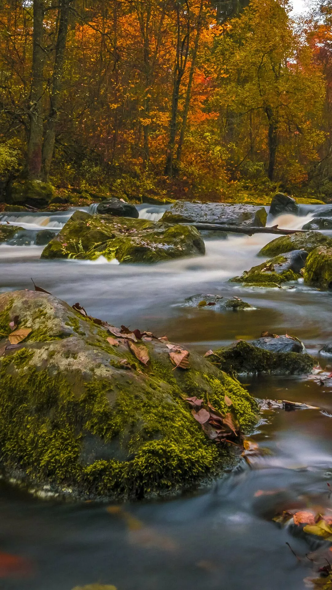 River Wallpaper