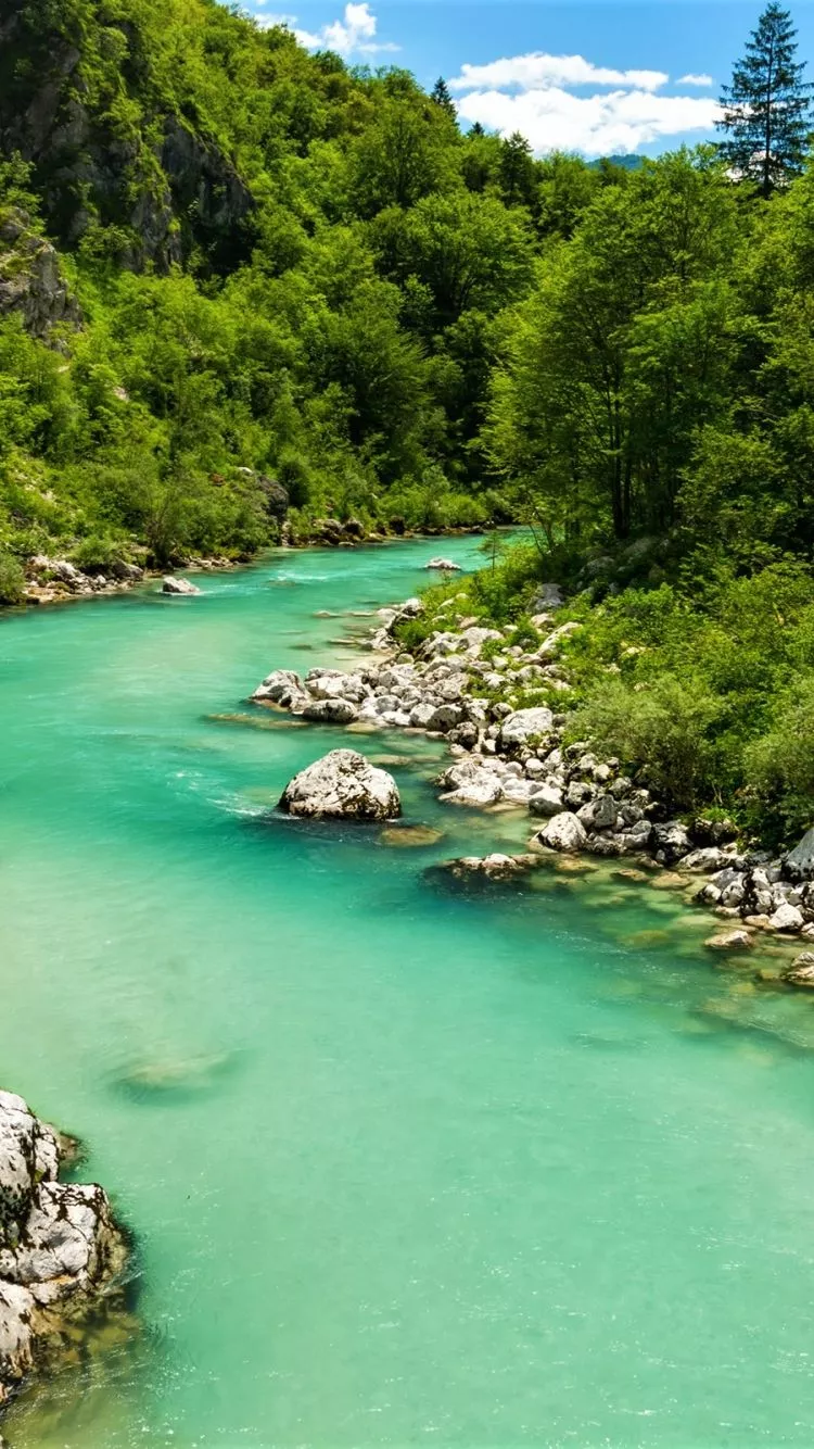 River wallpaper for mobile phone
