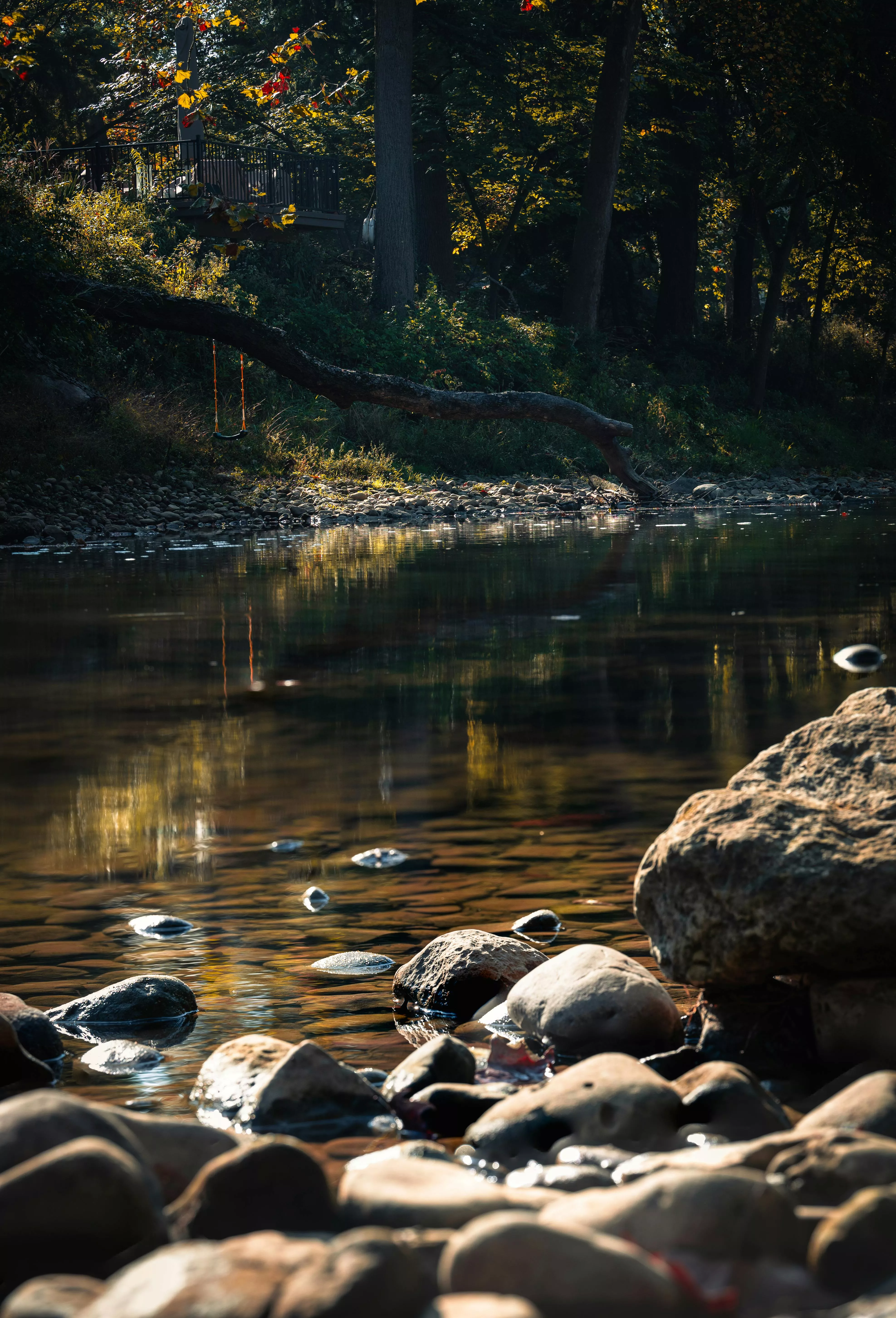Rocks by the River · Free