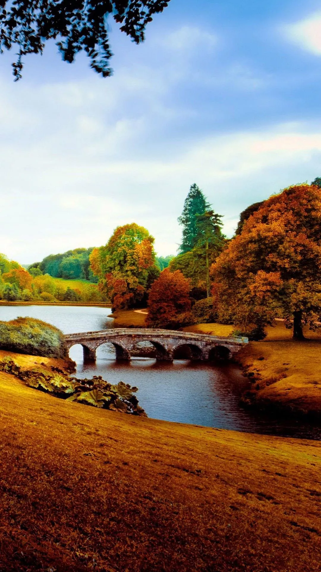 Beautiful Park Bridge Above Water