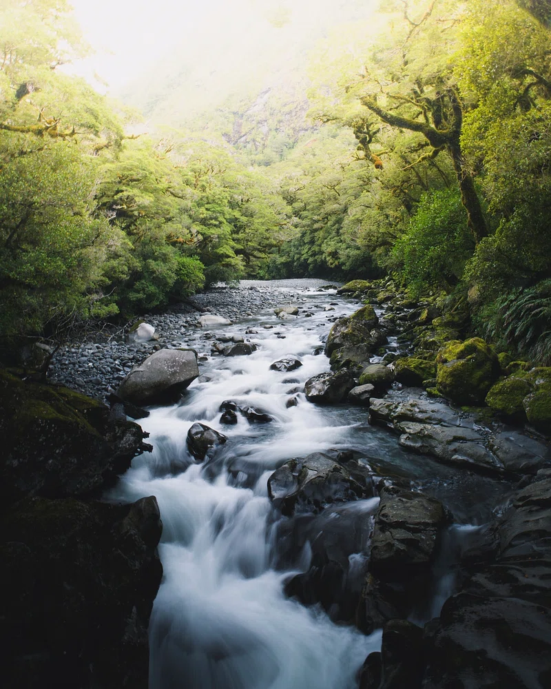 River Image. Free Photo, PNG