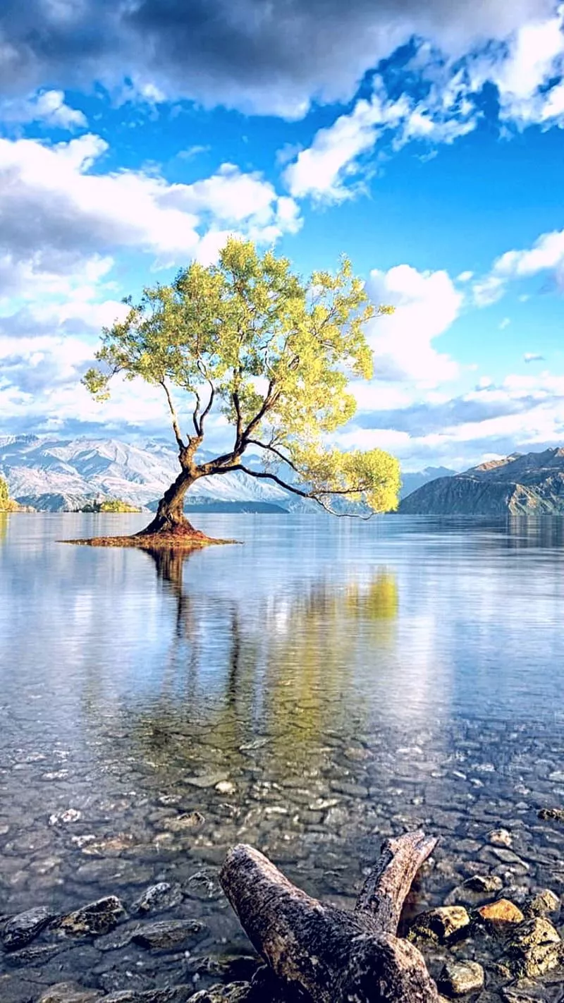 Scenery, lake, nature, sky, tree, water, HD phone wallpaper