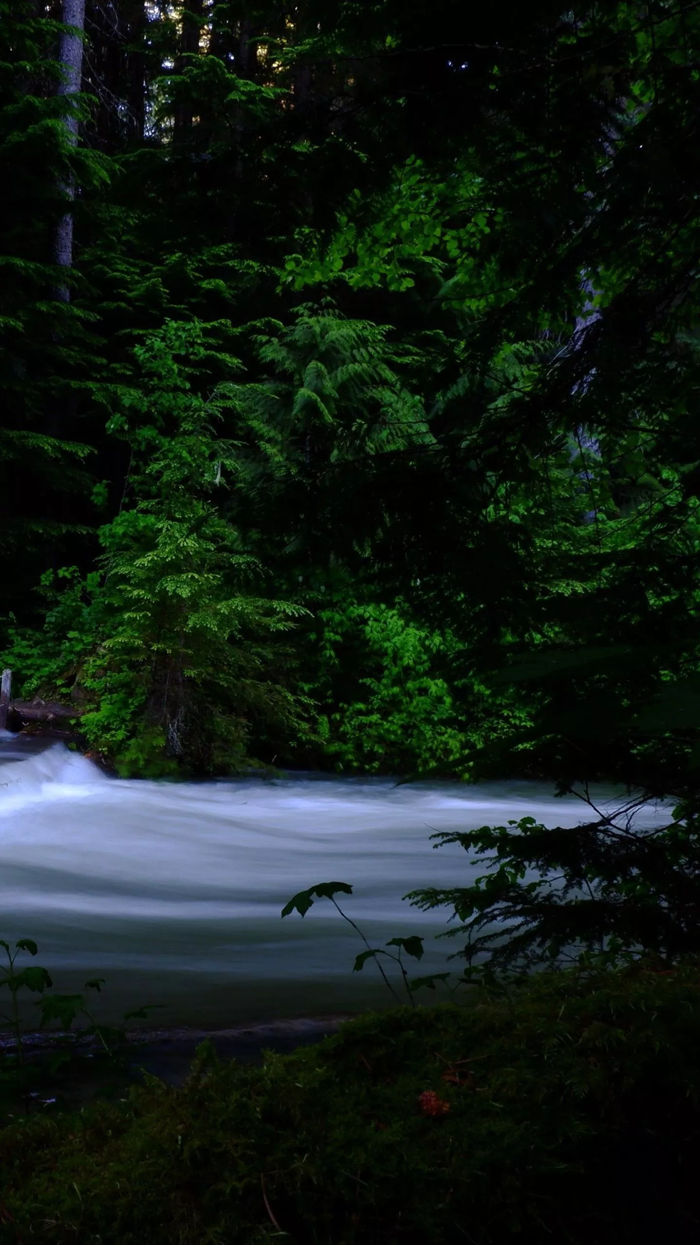 River, Cascade, Trees, Dark, Background