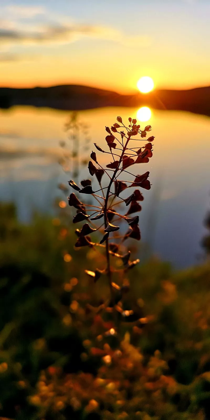 Sunset, life, mountains, nature, new