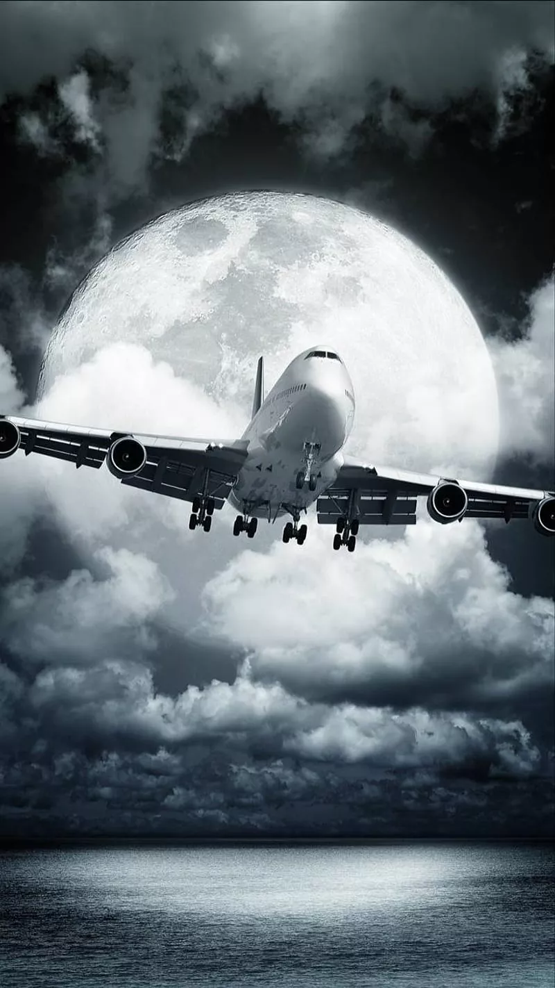 Airplane, aviation, fly, HD phone wallpaper