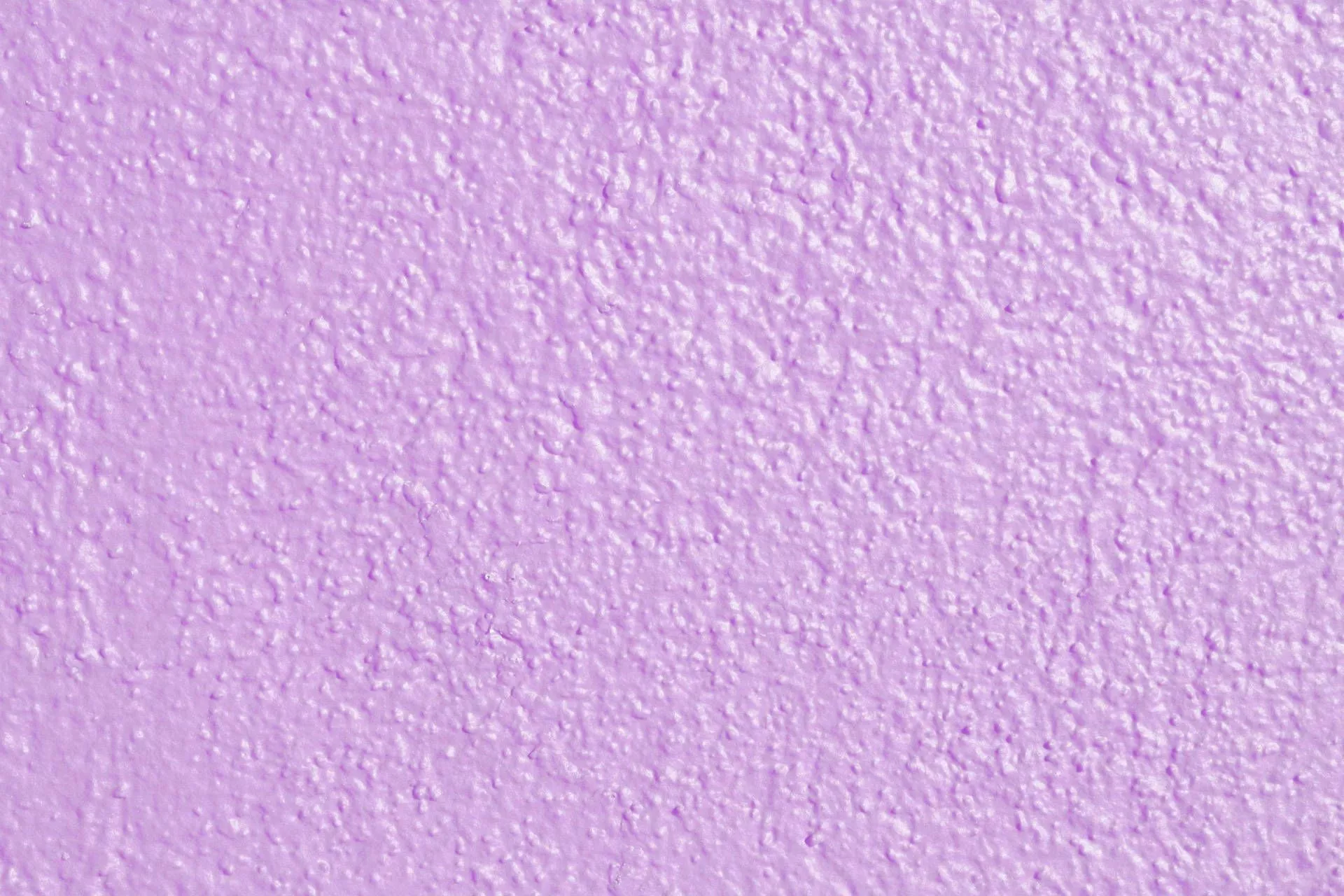 Download Lavender Wallpaper