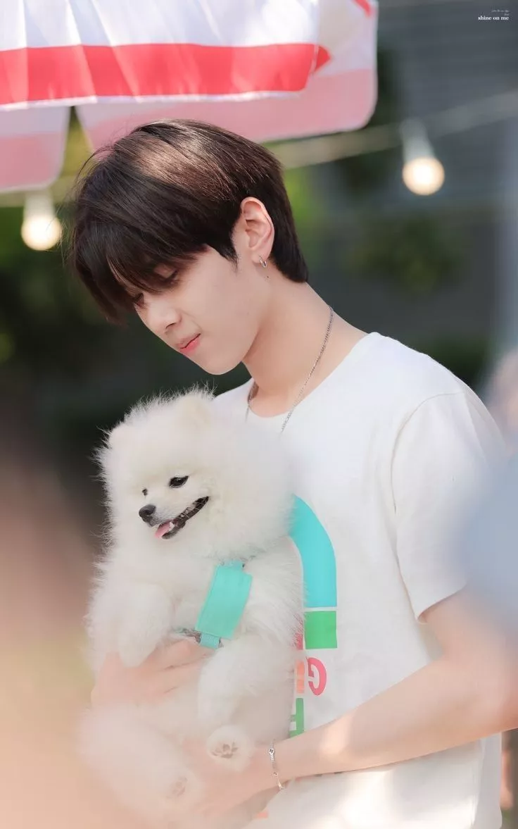 Dunk natachai ideas. dunk, gmm