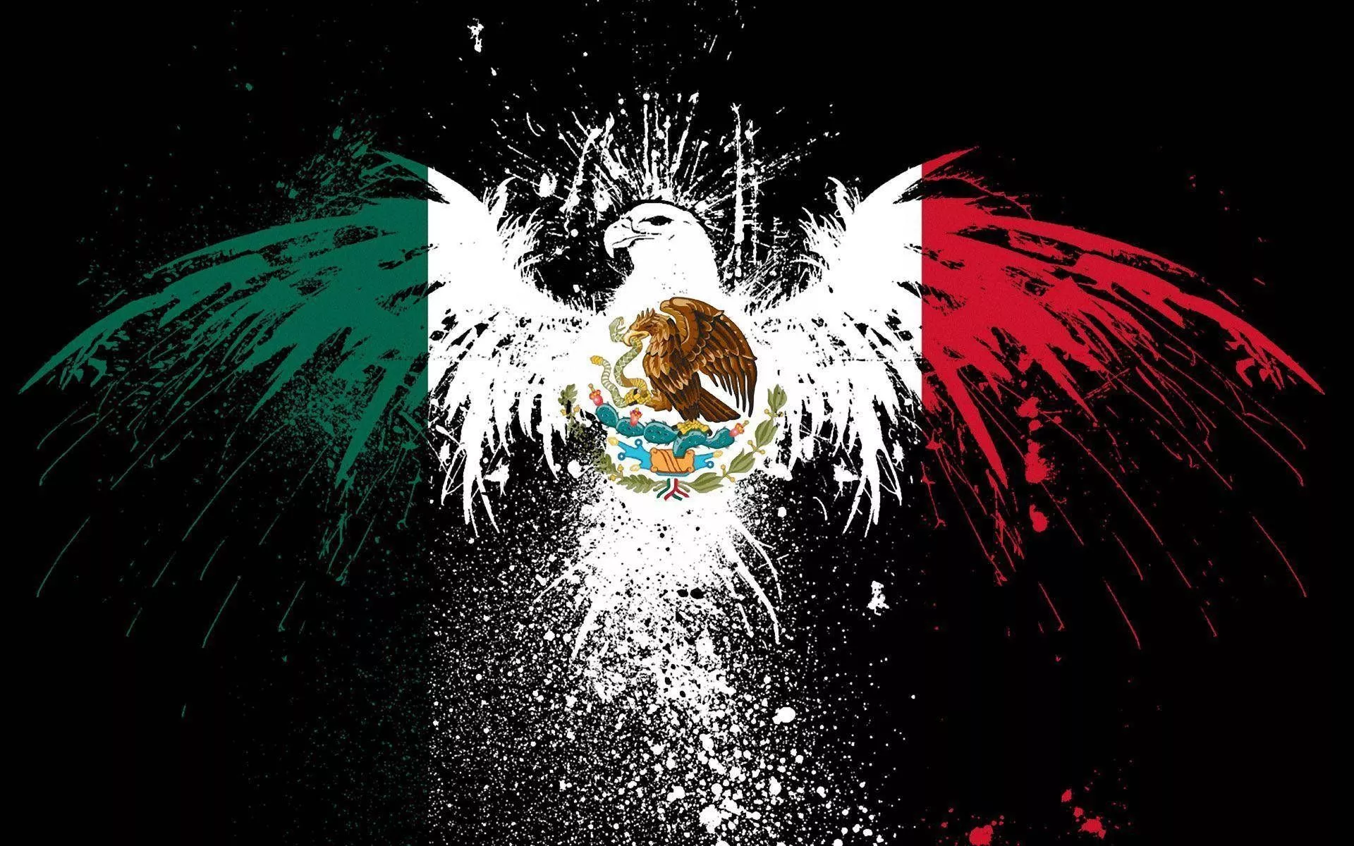 In Mexican Flag Wallpaper