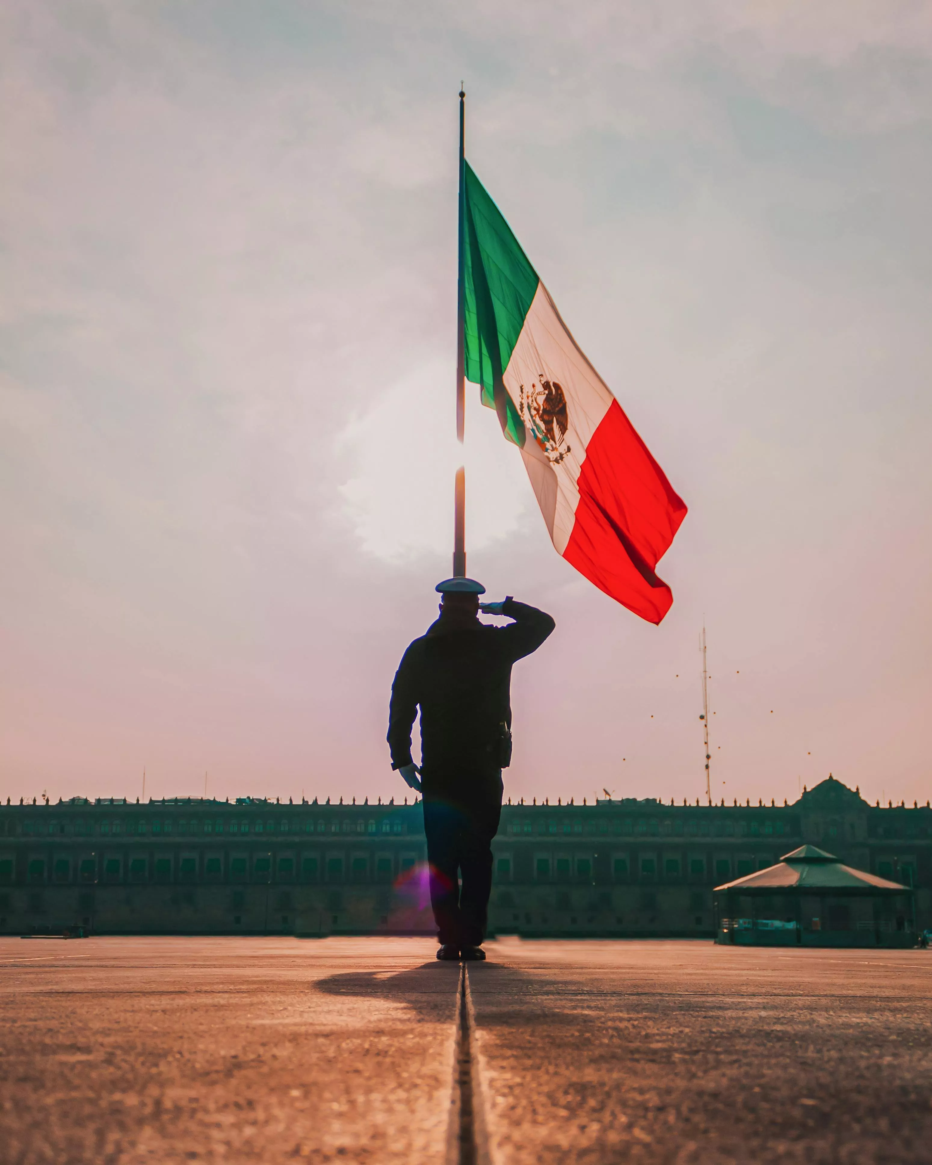 Man Saluting Flag of Mexico · Free