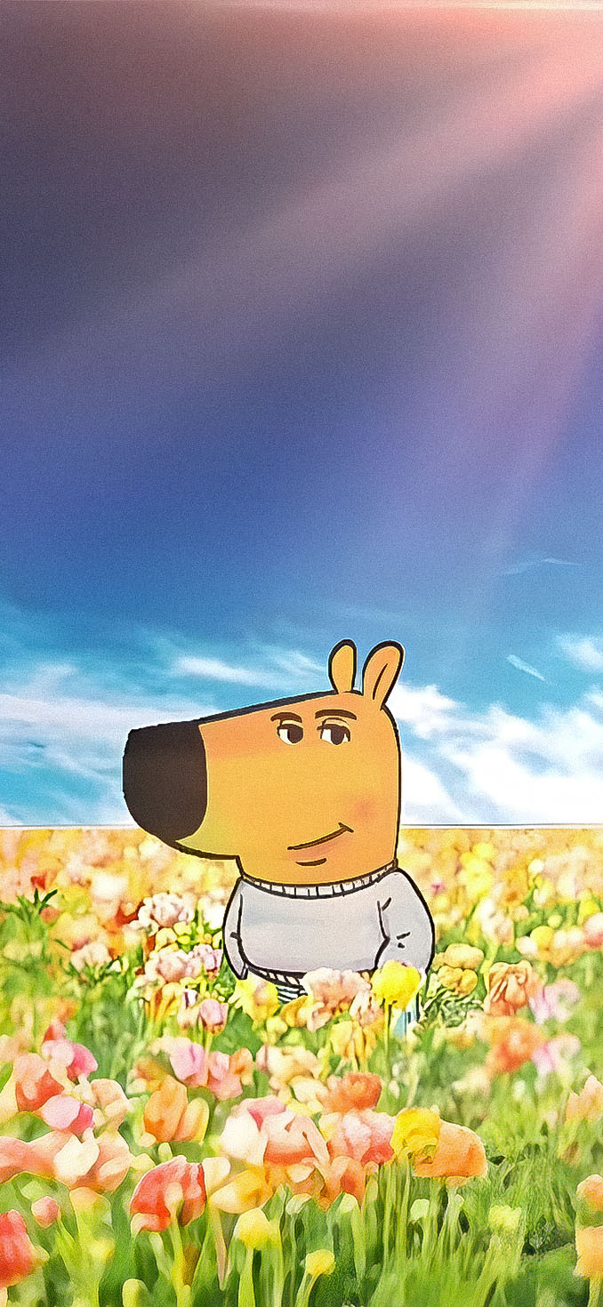 Chill guy HD wallpaper