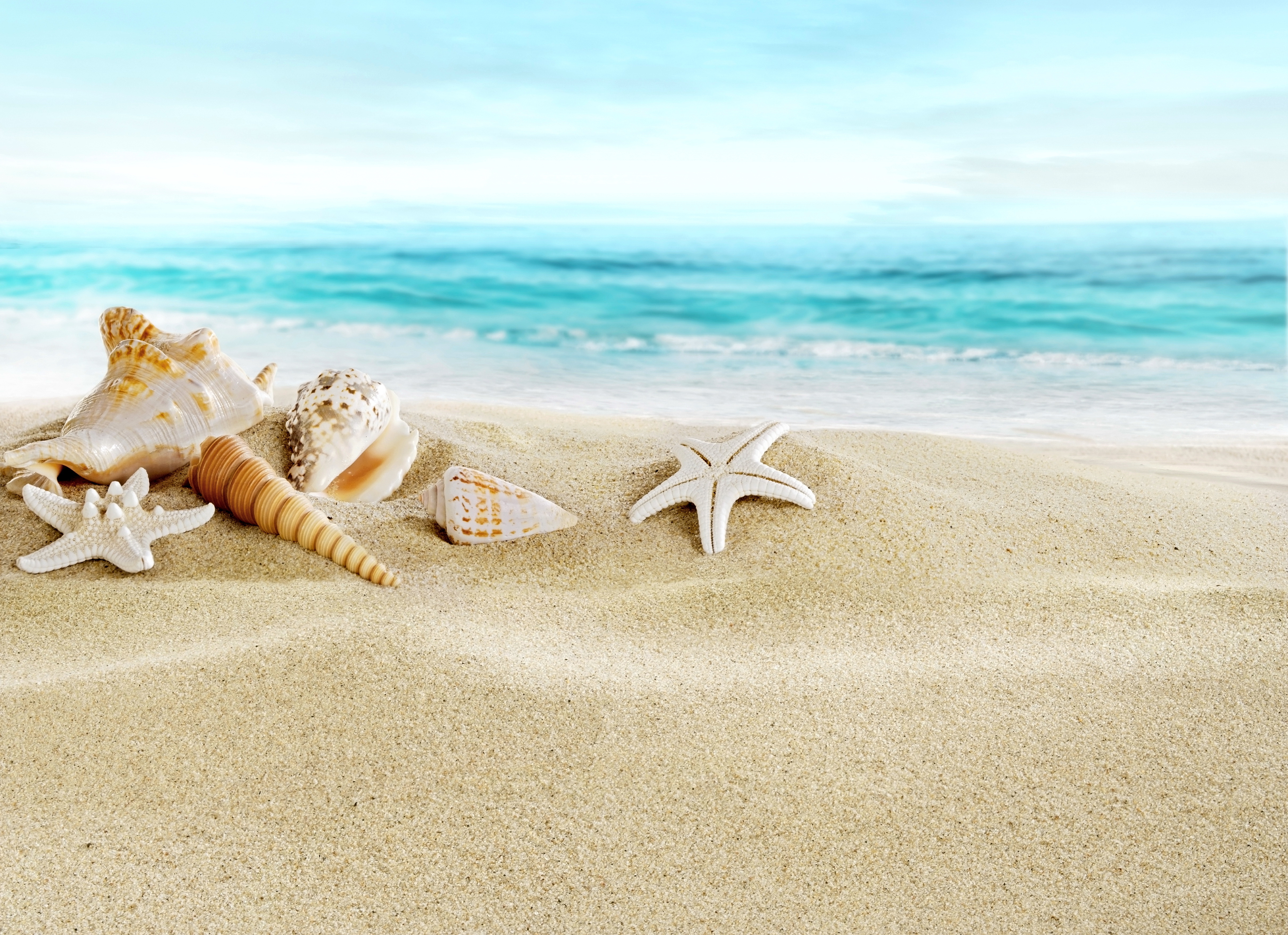Beach And Sea Wallpapers Wallpaper Cave