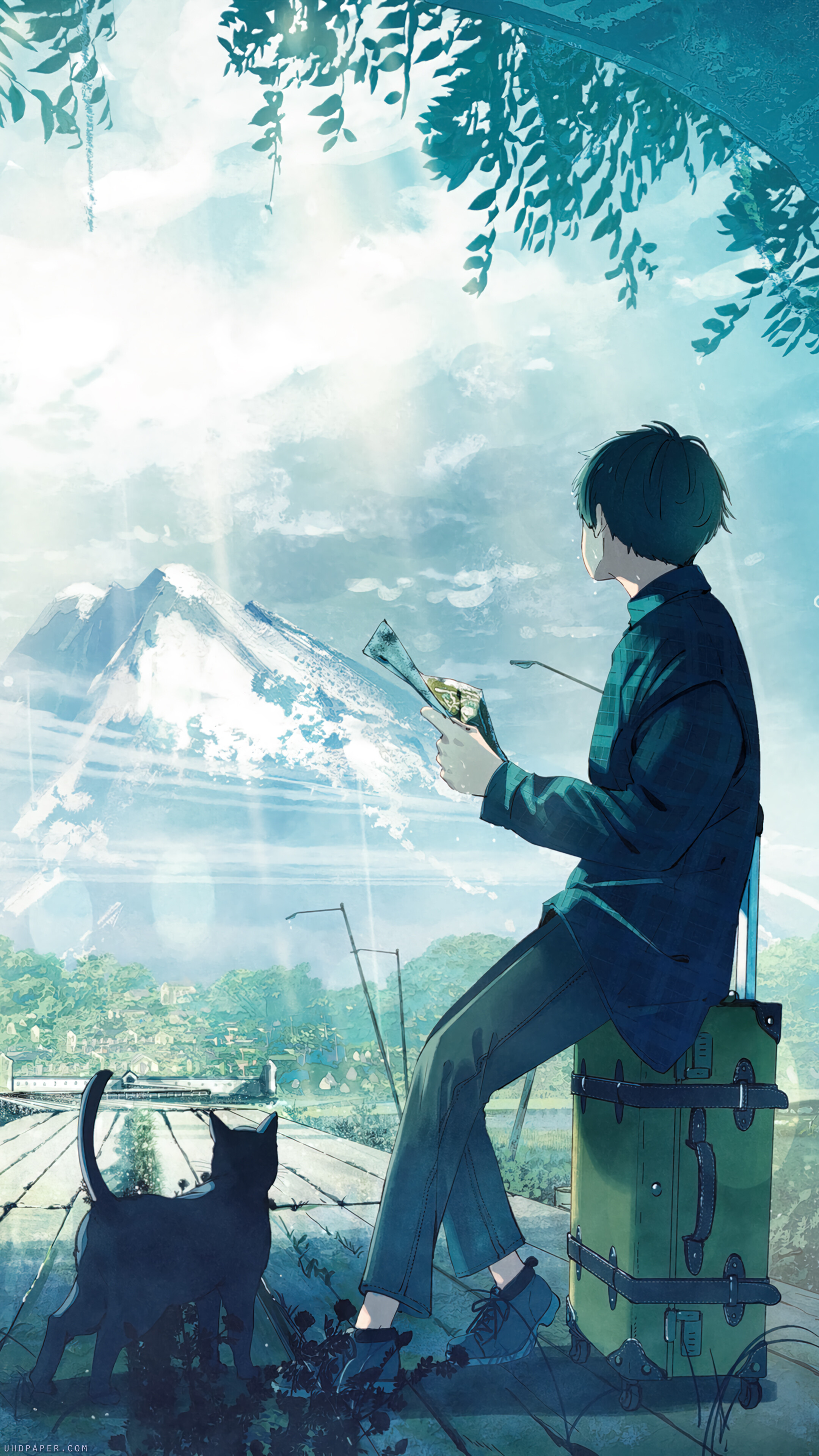 Anime Boy Cat Traveling Anime 4K