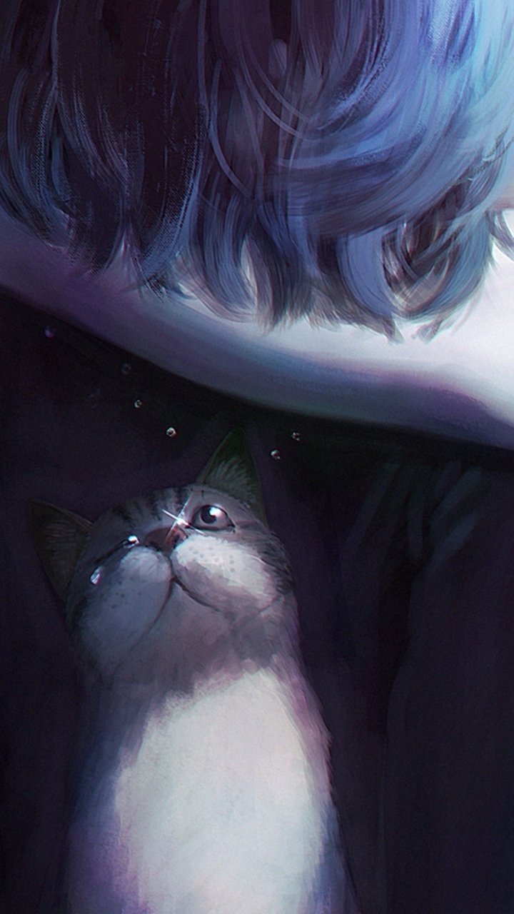 Tears Anime Cat Anime Cat Phone Wallpaper