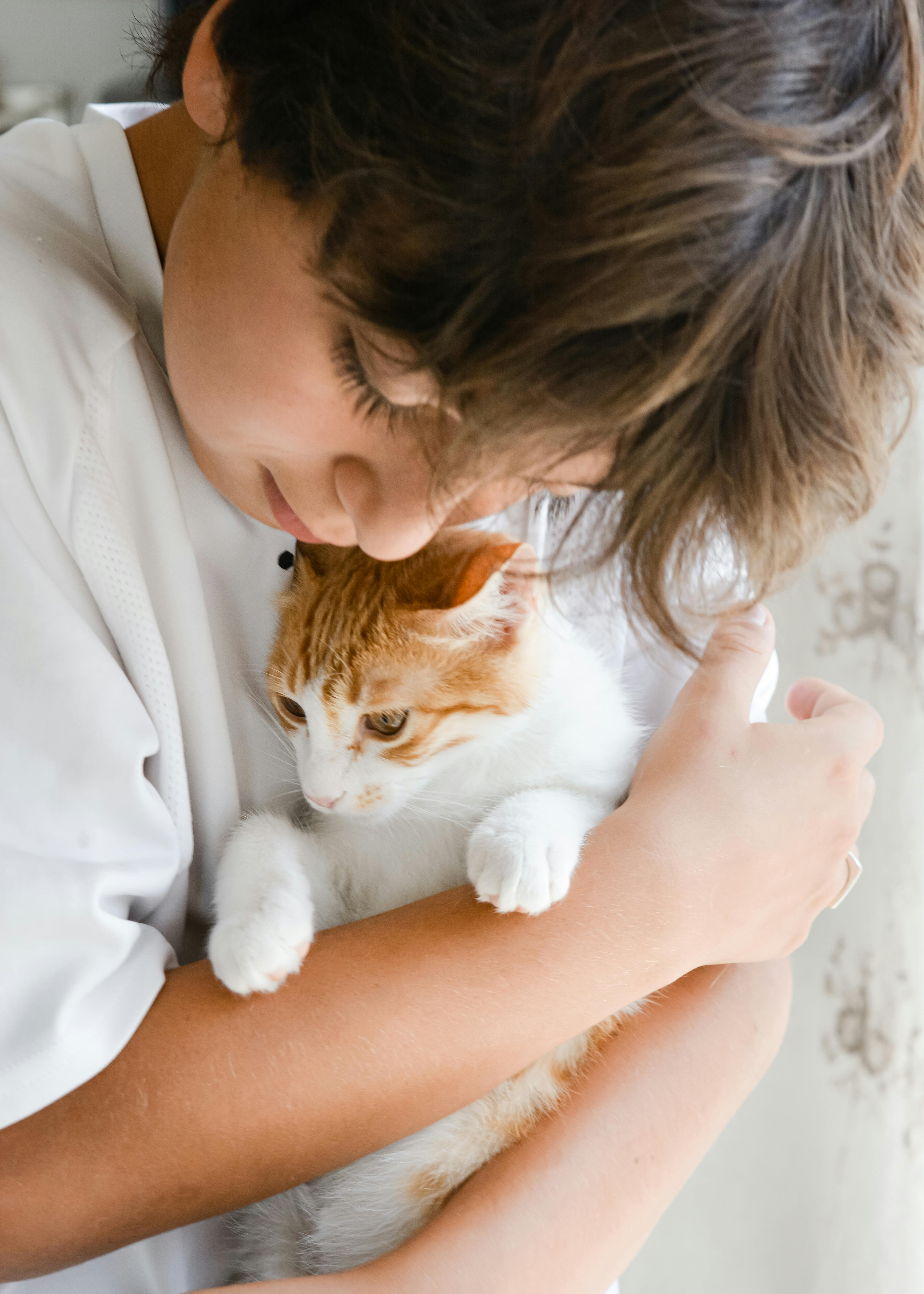 Boy Holding a Cat · Free
