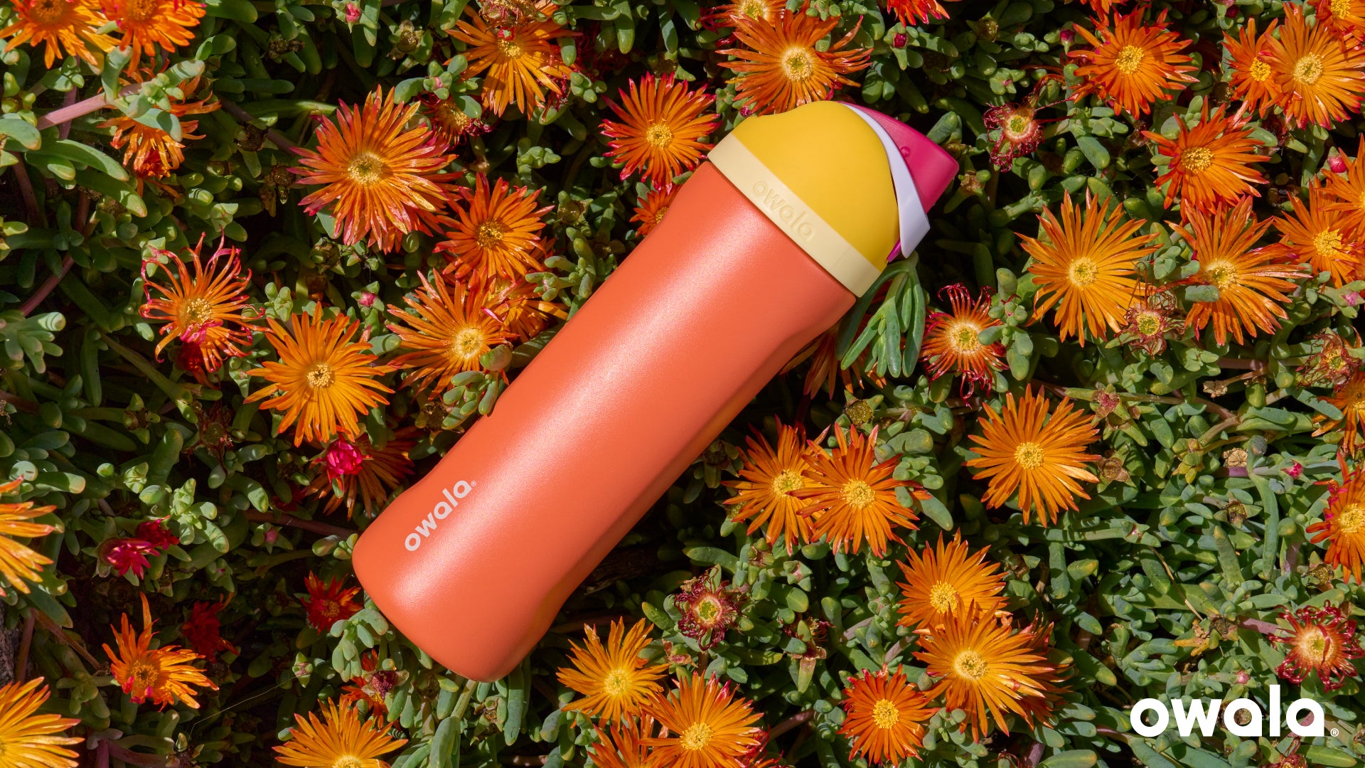 Best Water Bottles and Tumblers of 2024