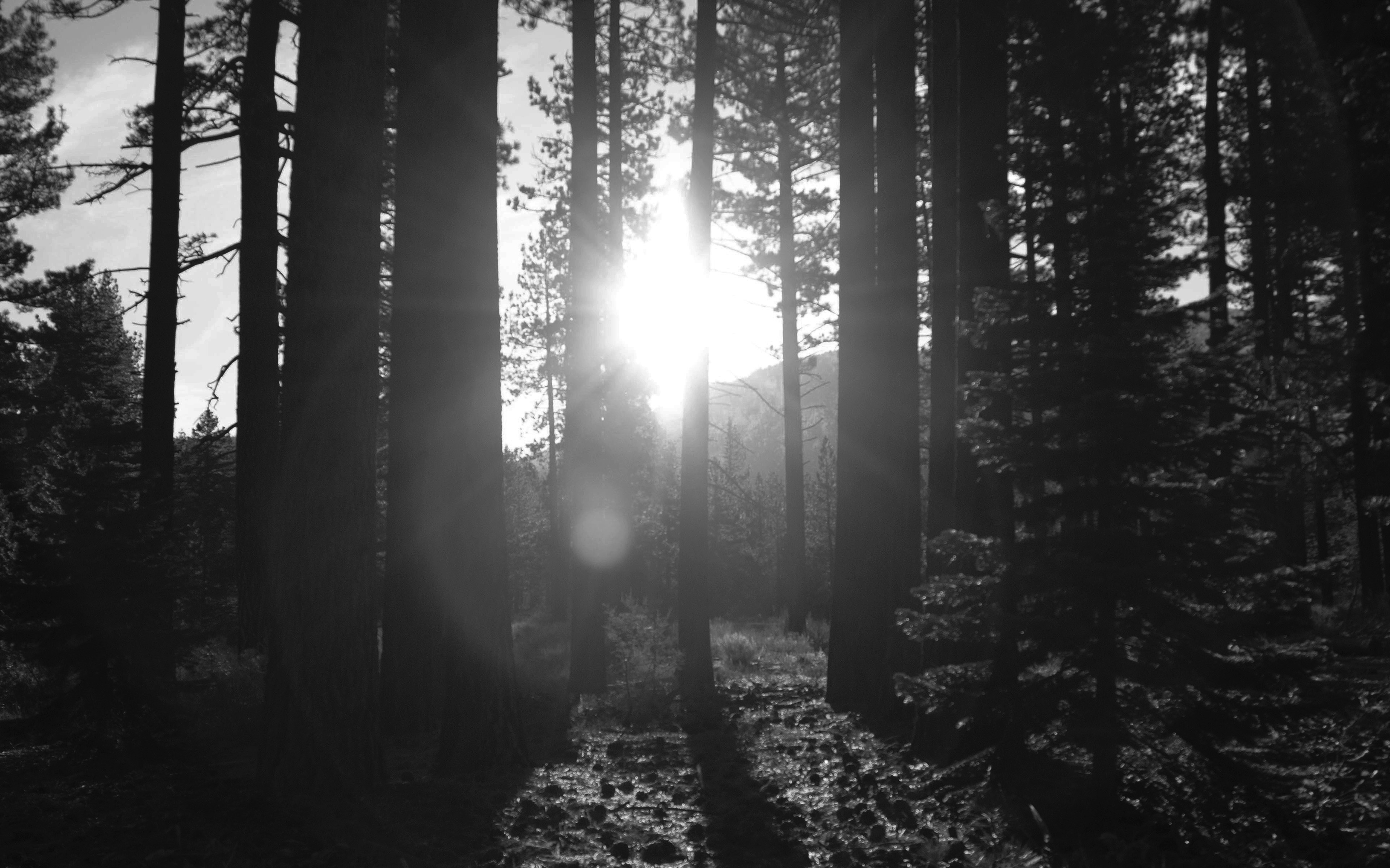 wallpaper for desktop, laptop. nc90