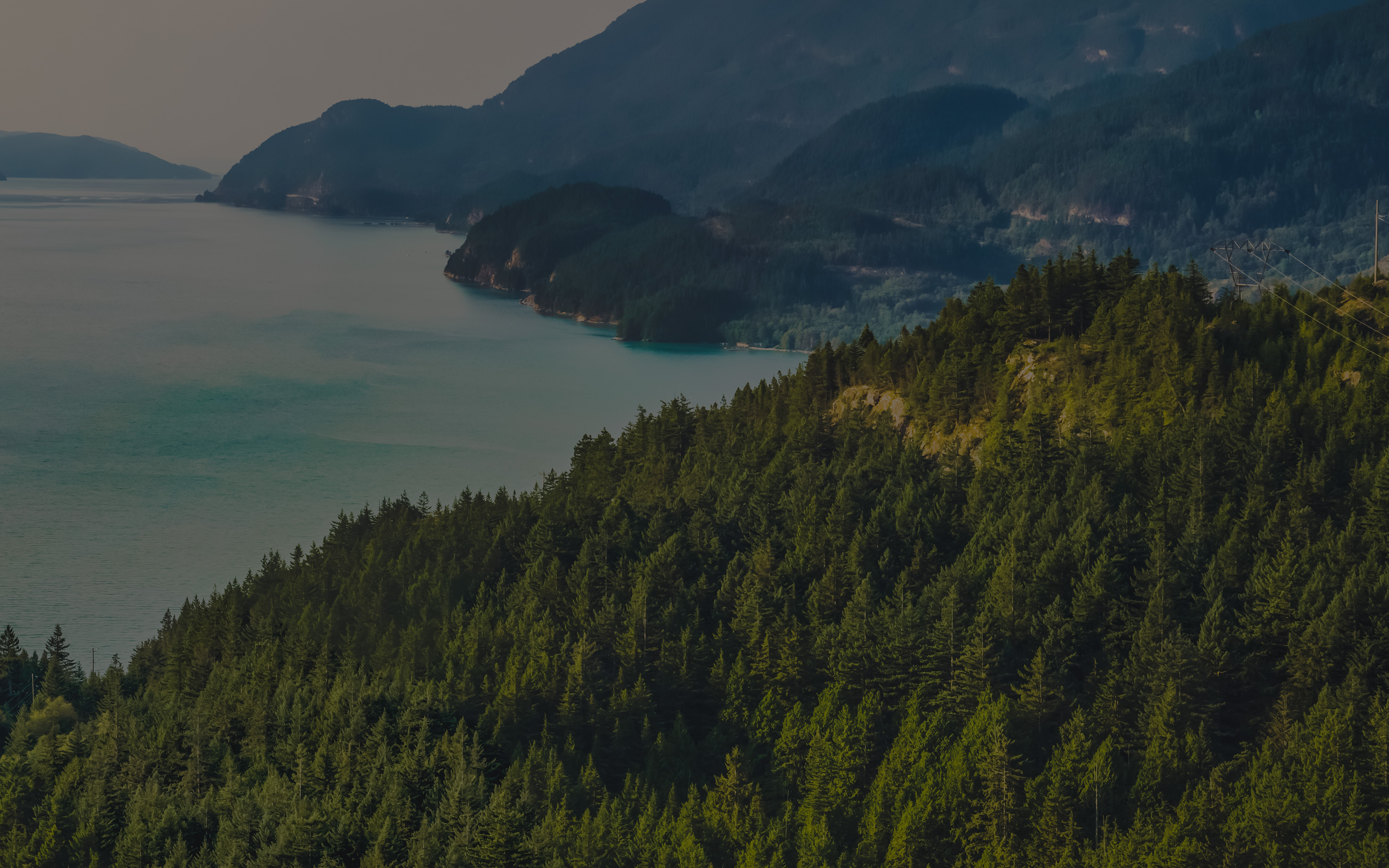 Lake Green Nature Wonderful Blue