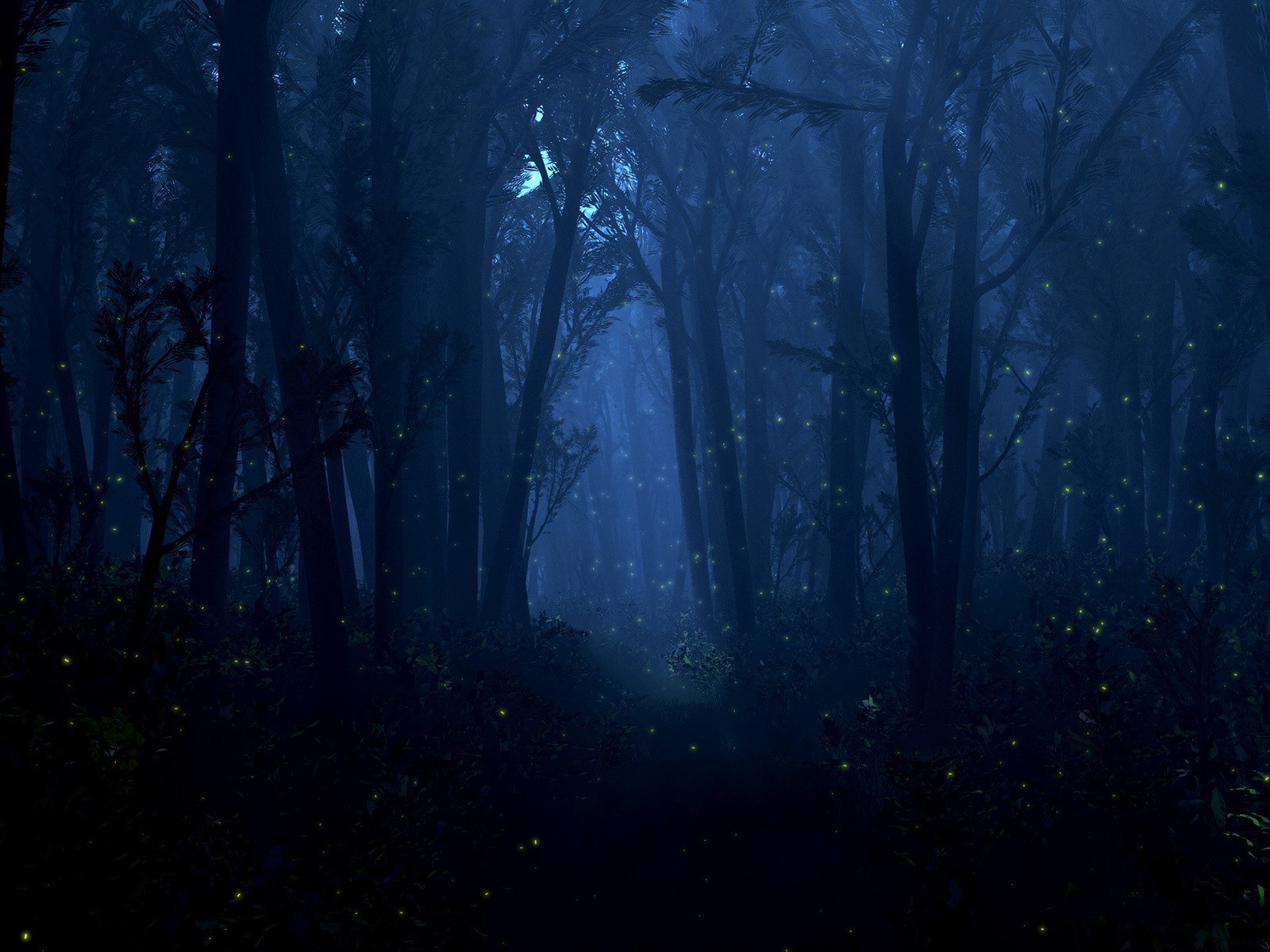 Wallpaper forest, light, trees, night