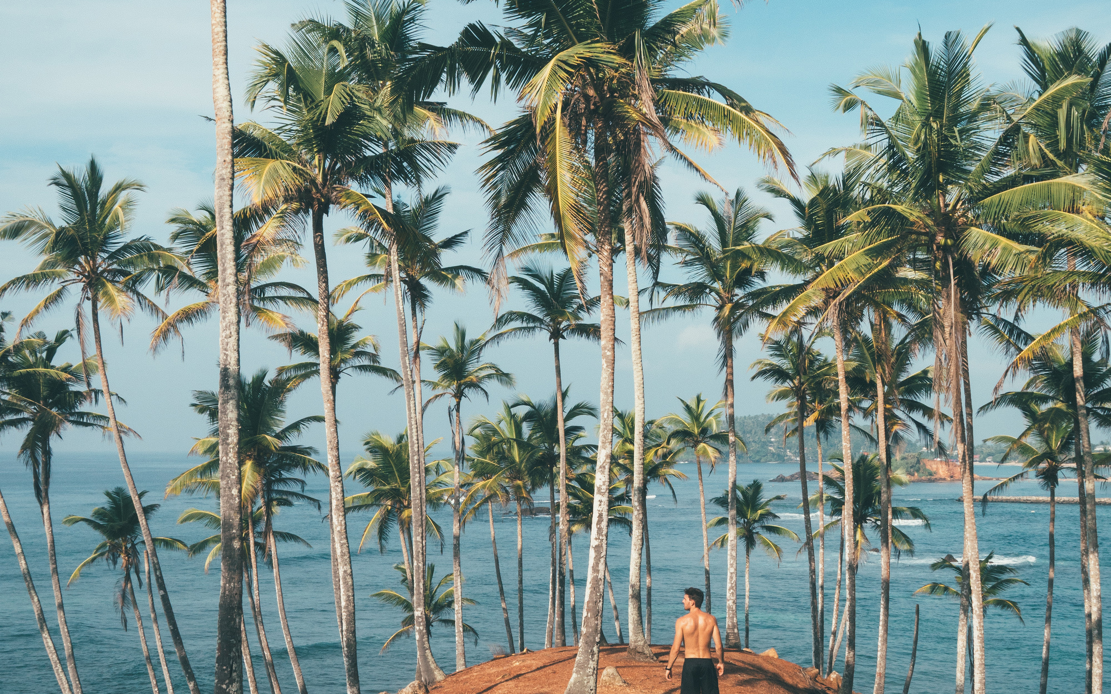 Summer Vacation Man Palm Tree Nature