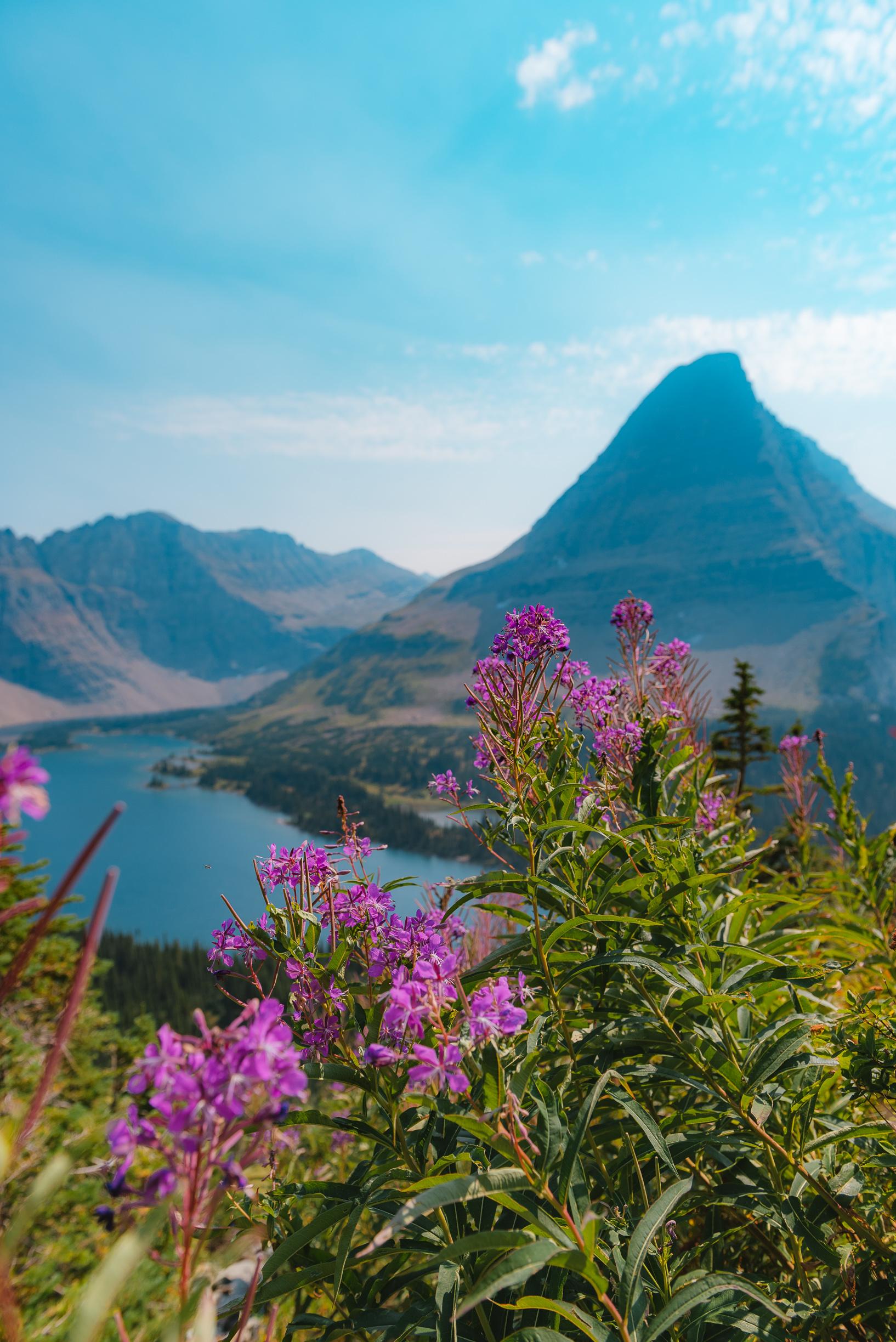 Bearhat Mountain in Glacier NP