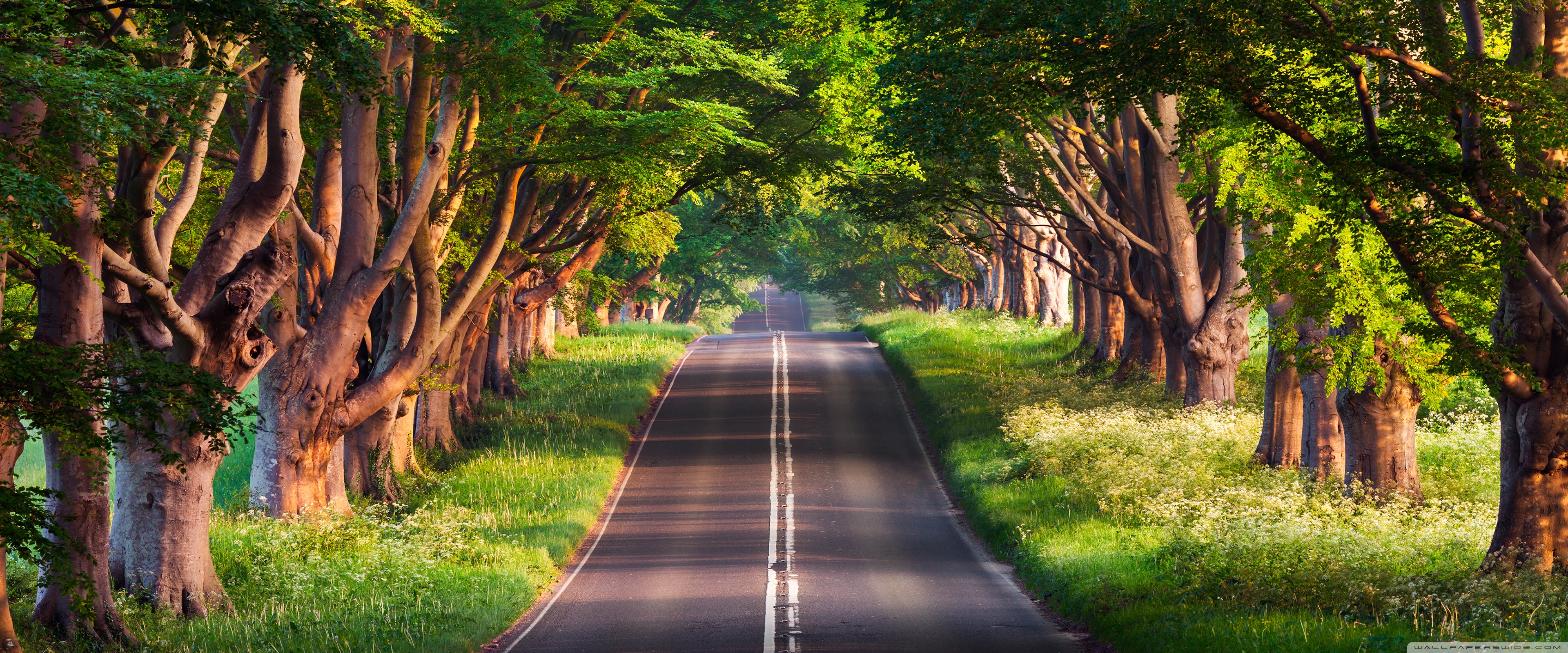 Travel Ultra HD Wallpaper for 4K UHD