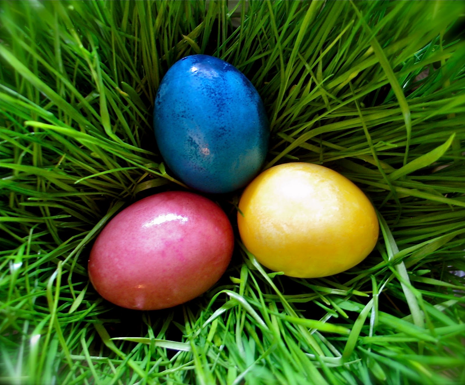 Vibrant Vegetable Dyed Easter Eggs