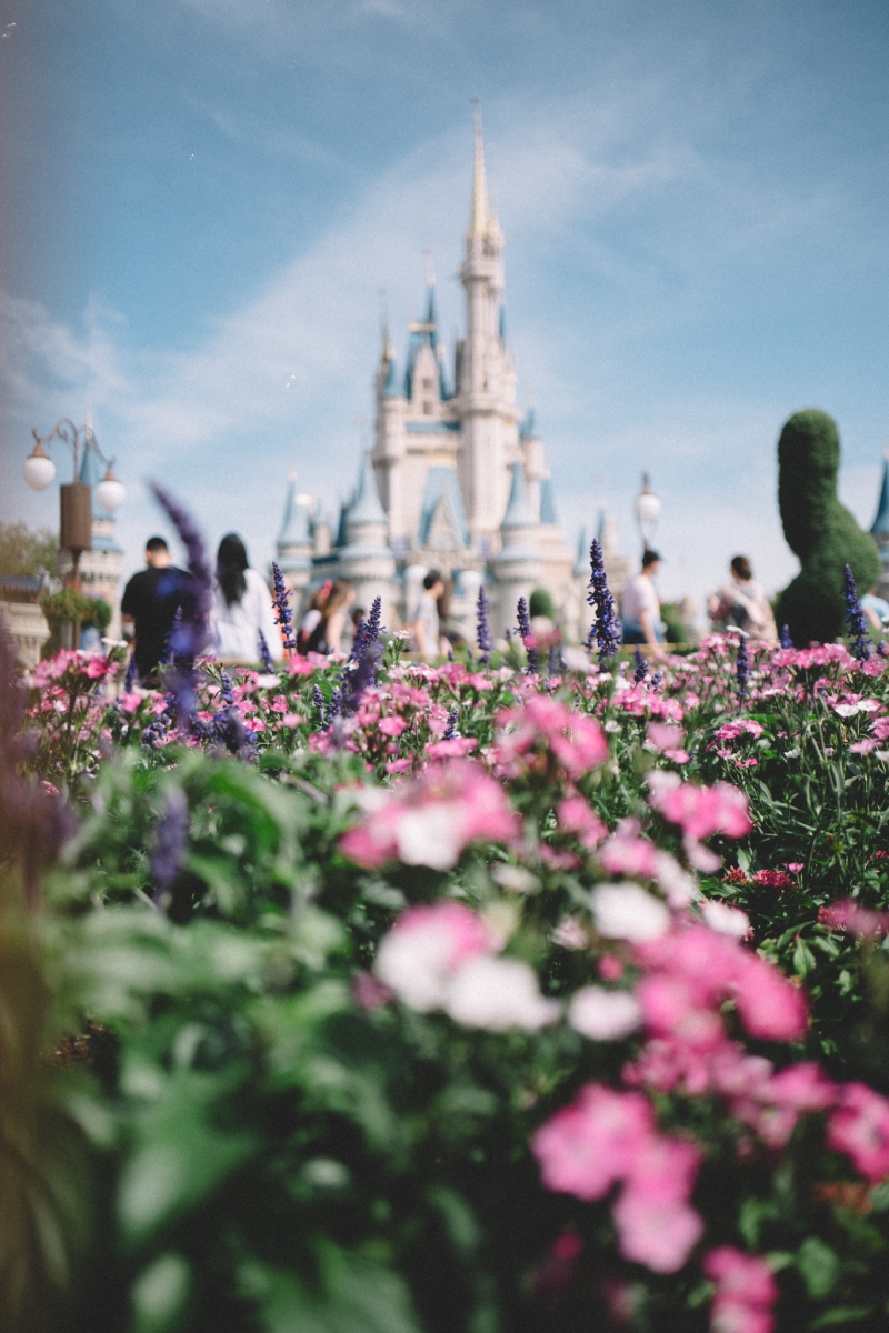 short trip to Walt Disney World