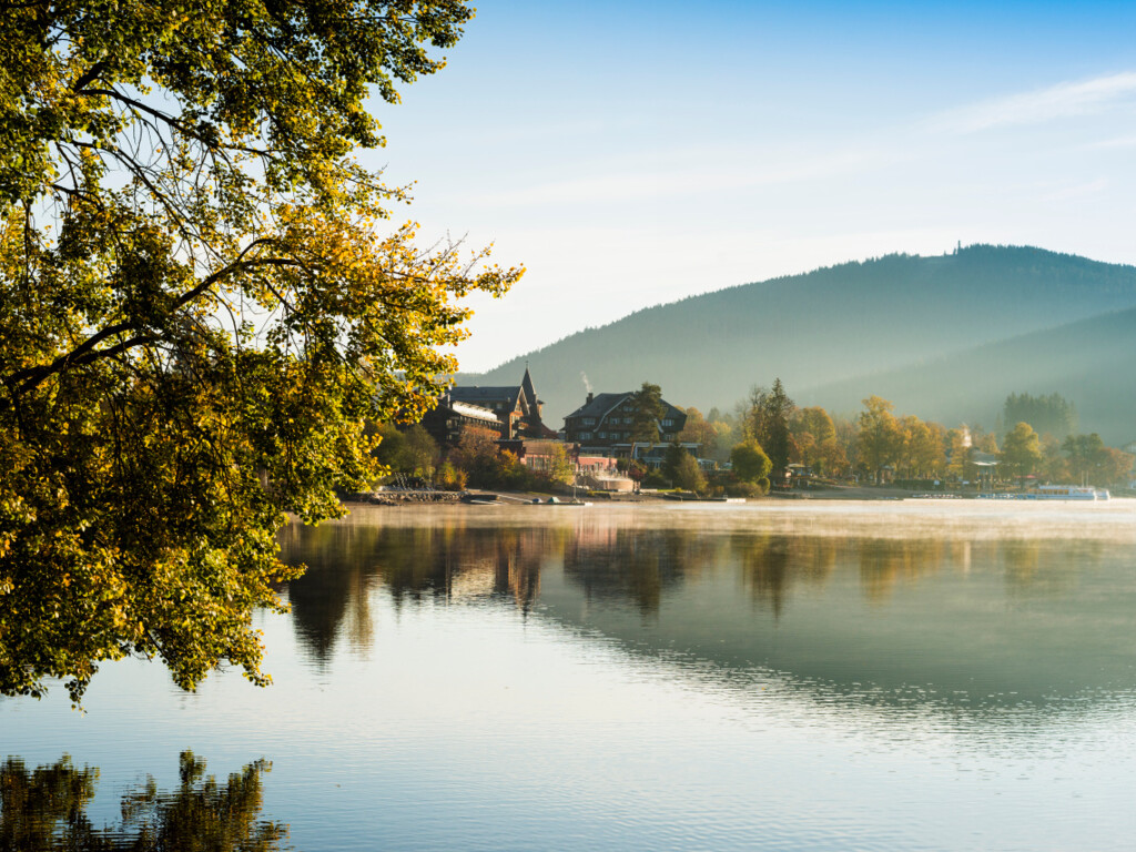 Summer vacation in the Black Forest