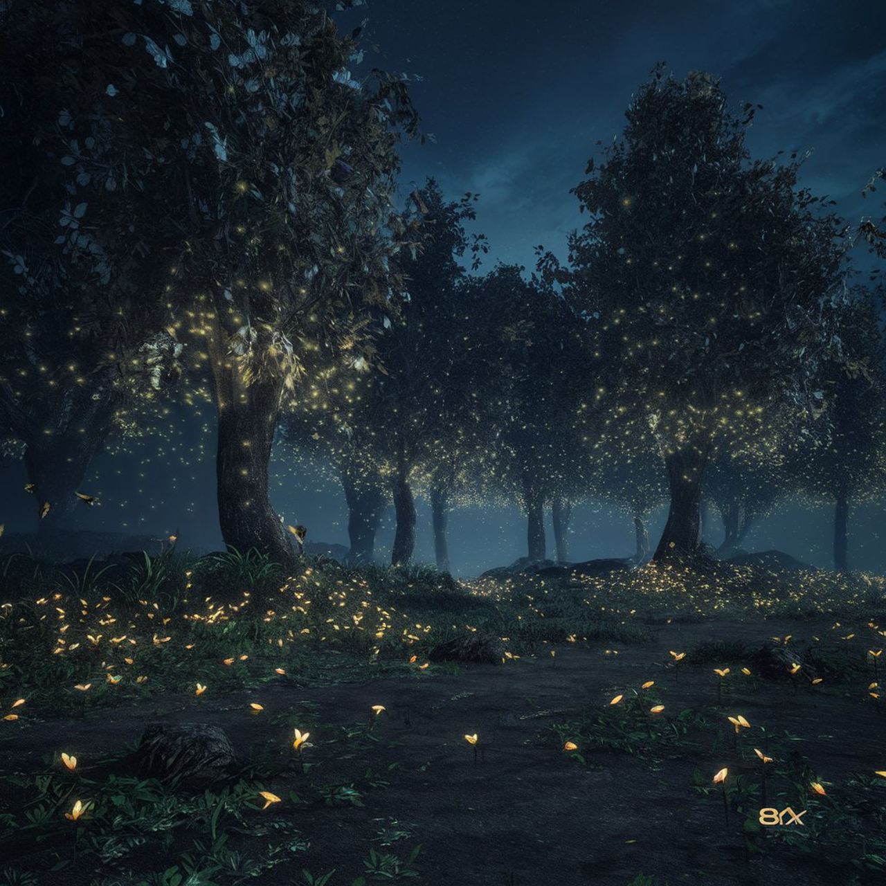 Fireflies, Dark Forest Clearing, Summer
