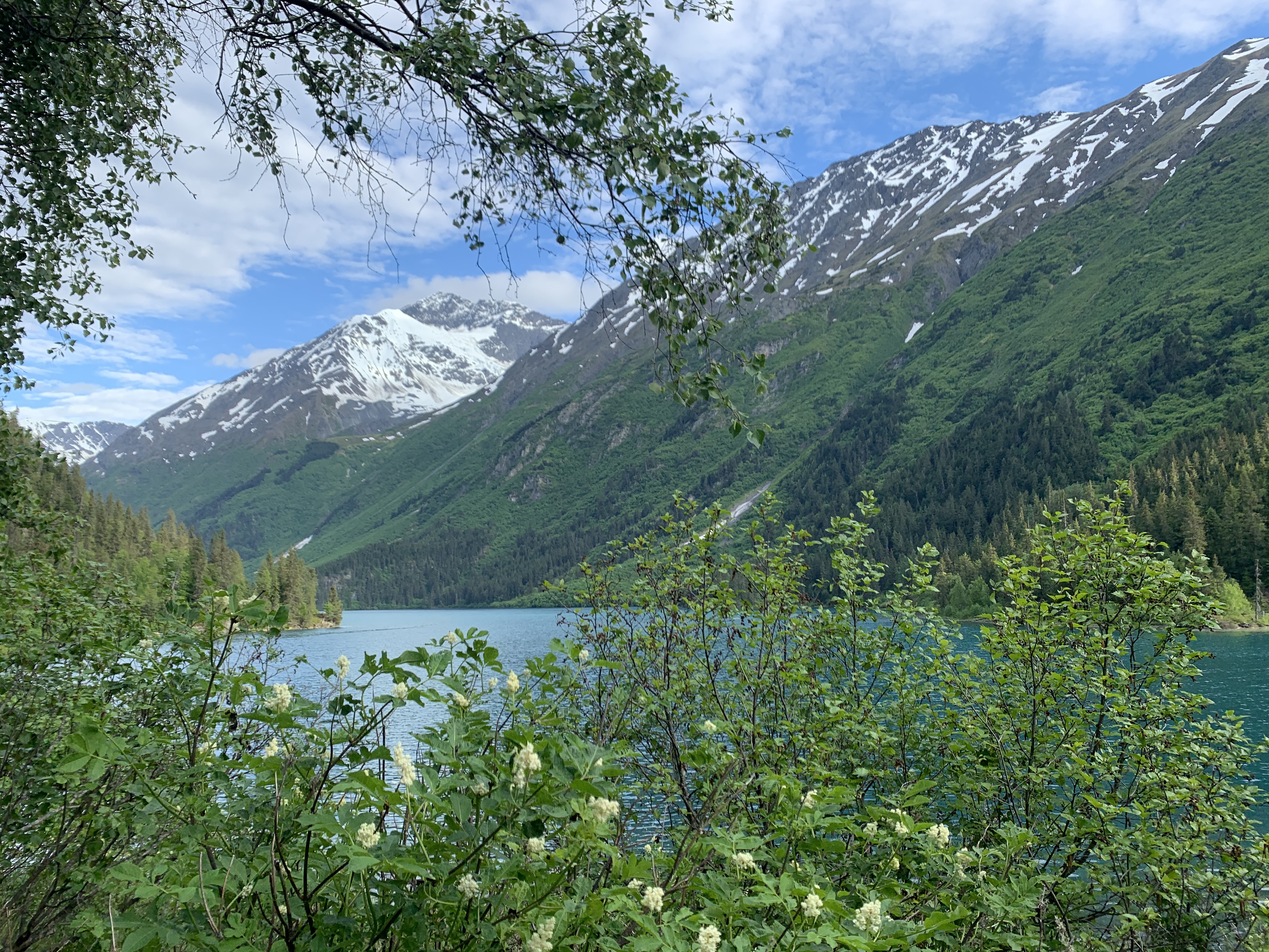 Ptarmigan Lake Trail mountain bike