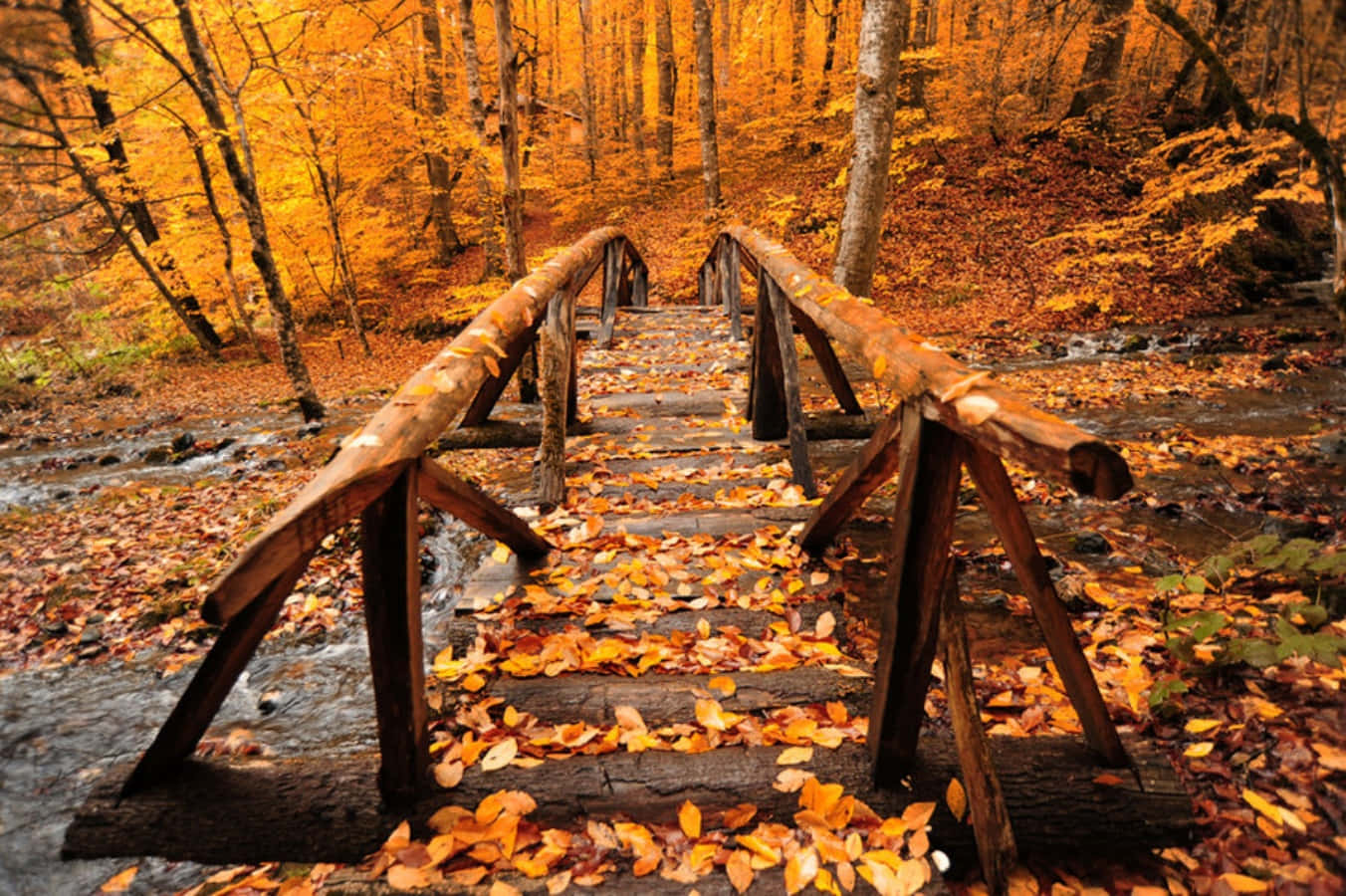 Cozy Fall Desktop Wallpaper