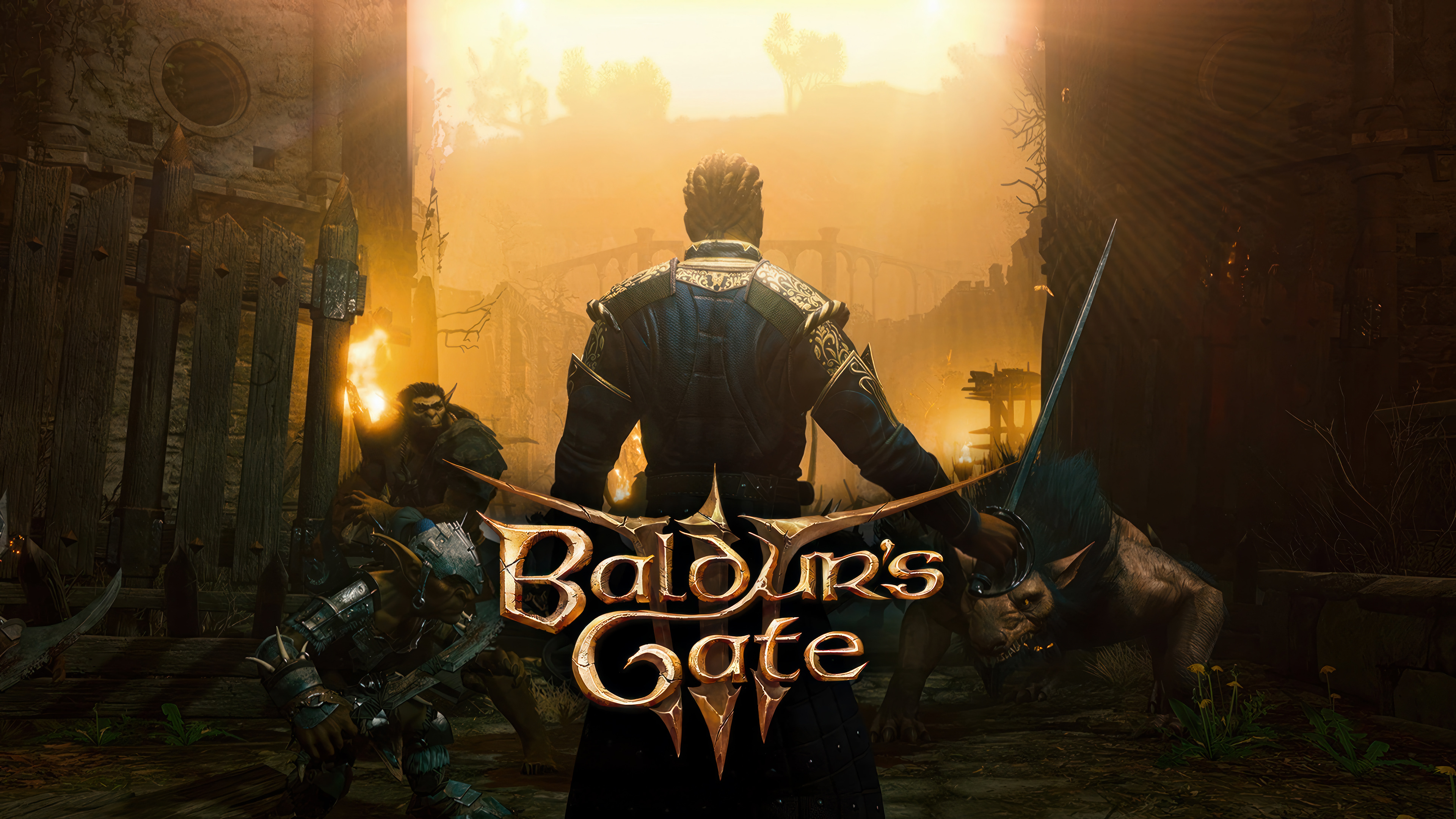 Baldur's Gate III Wallpaper 4K HD PC l