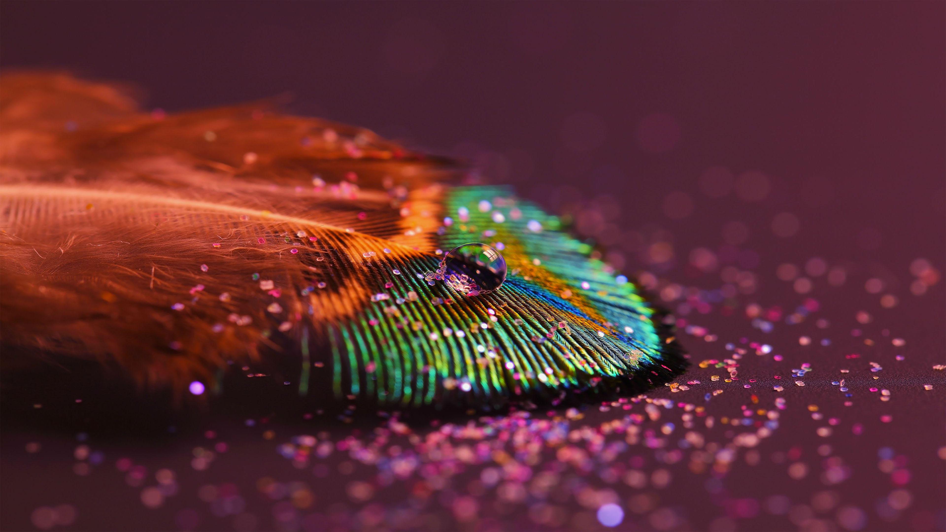 Peacock Feather Wallpaper 3840x2160