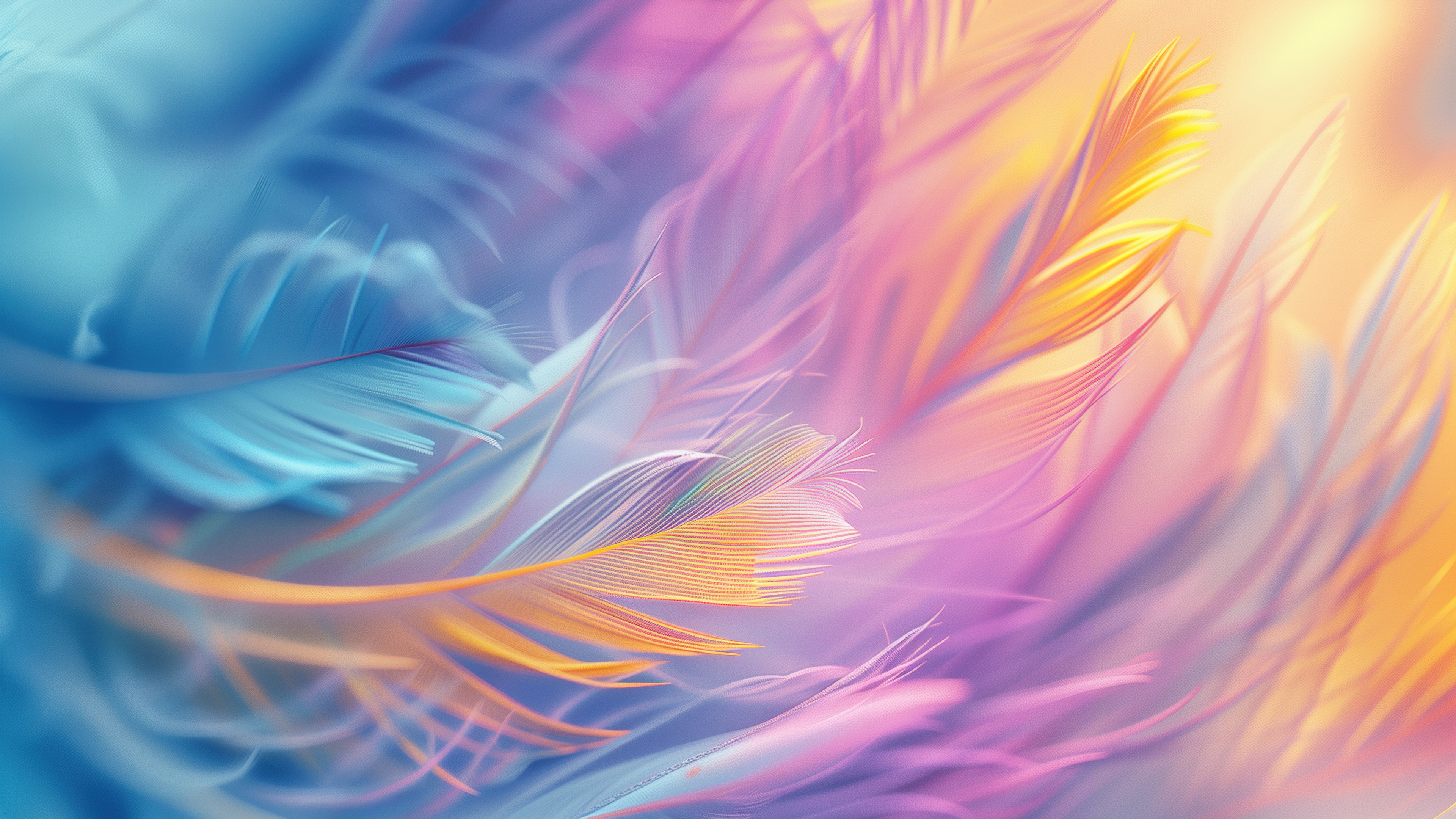 Colorful Wallpaper 4K, Feathers