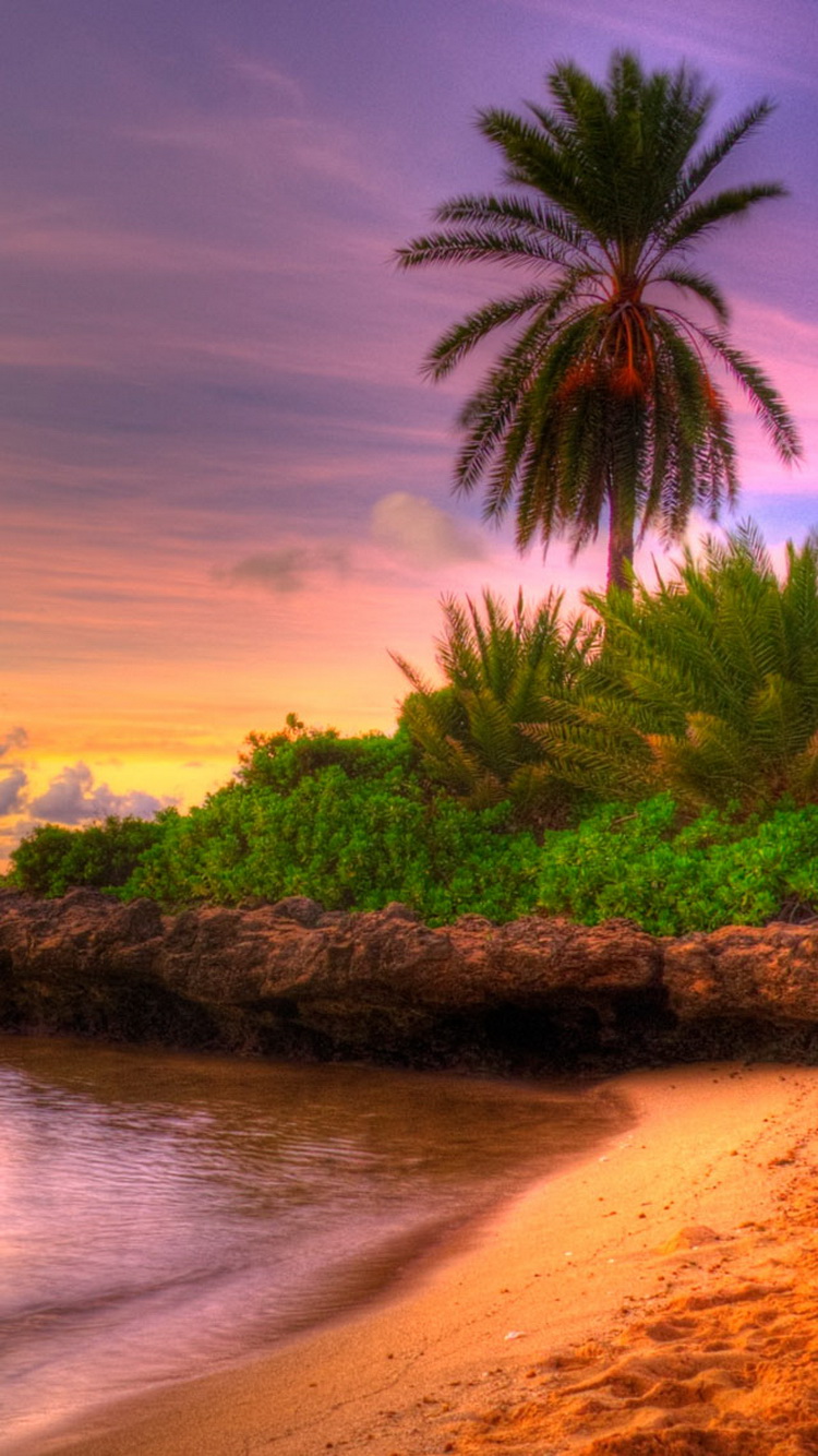 FREE SUMMER IPHONE WALLPAPERS