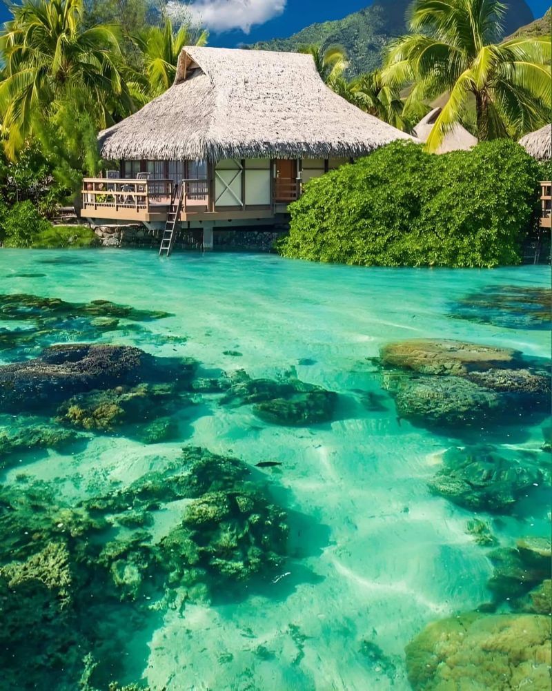 Bora Bora Paradise. Civil Engineering