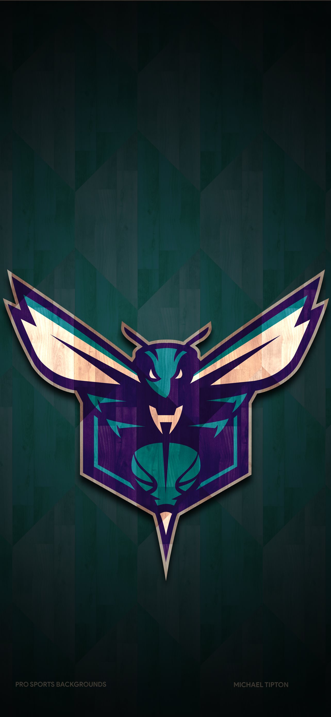 Best Charlotte hornets iPhone HD